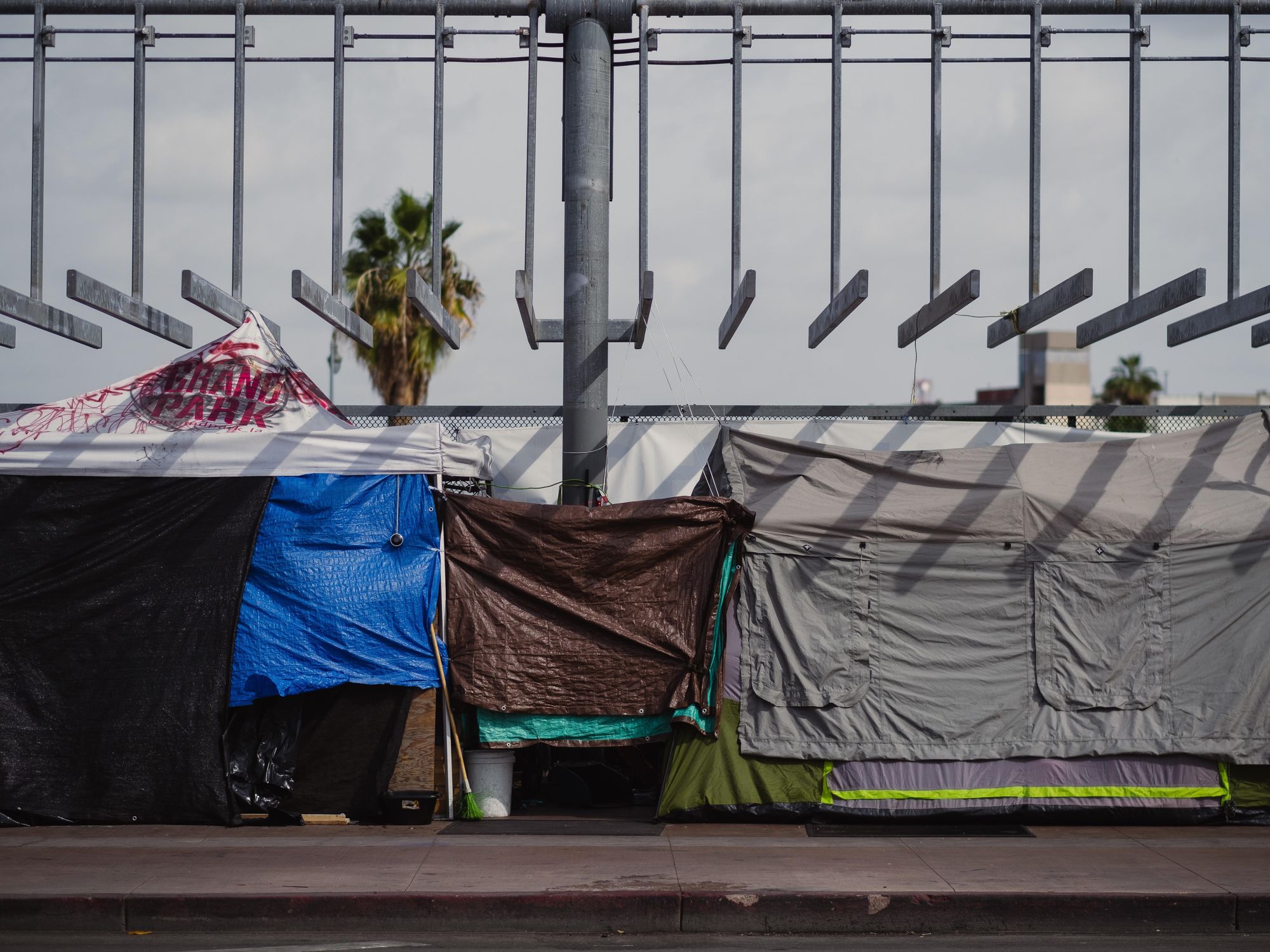 Meet the Nonprofit Whose App Helps Homeless Angelenos Access Services