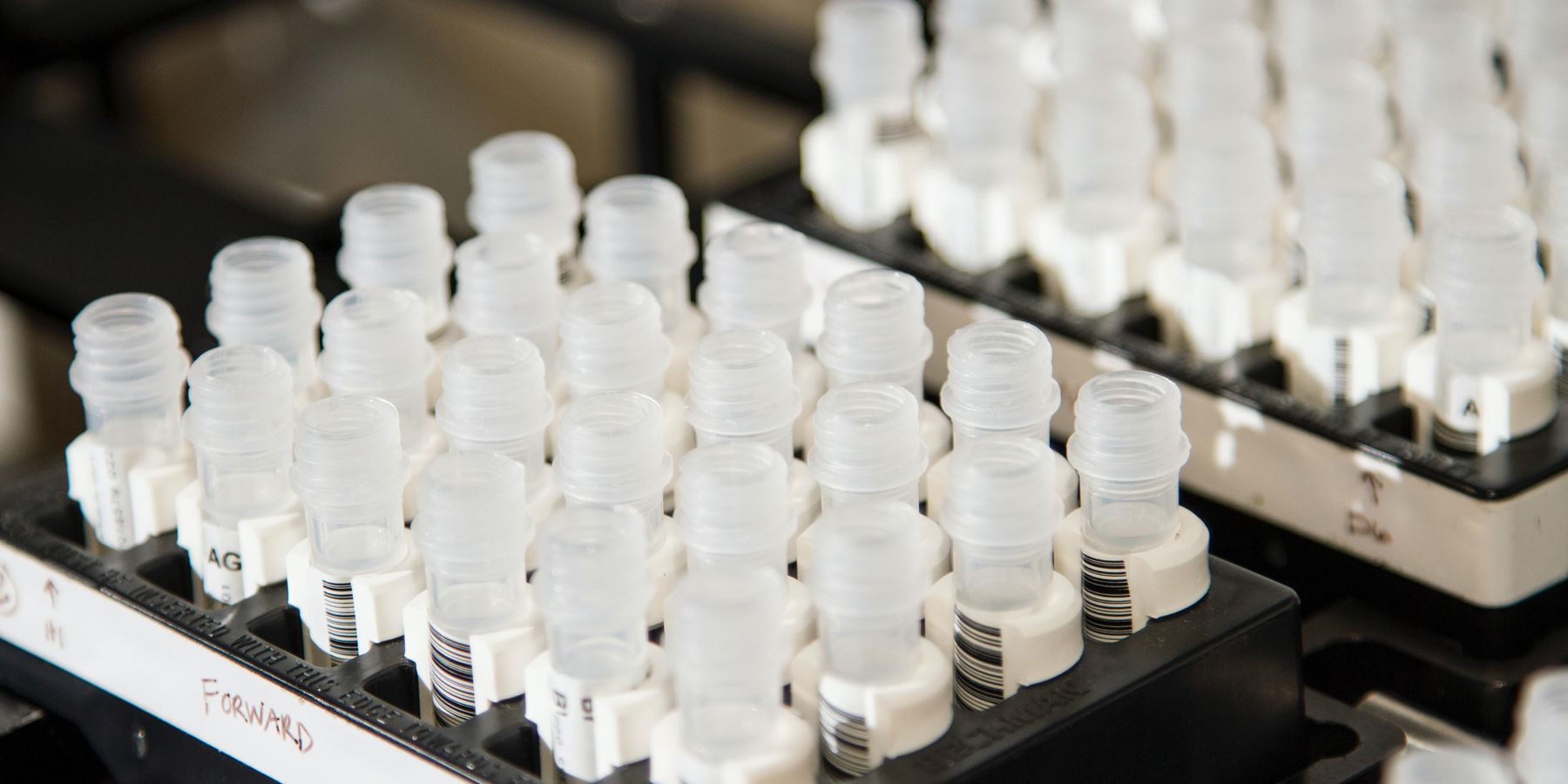 This Startup is Developing a Life-Saving Cancer Treatment