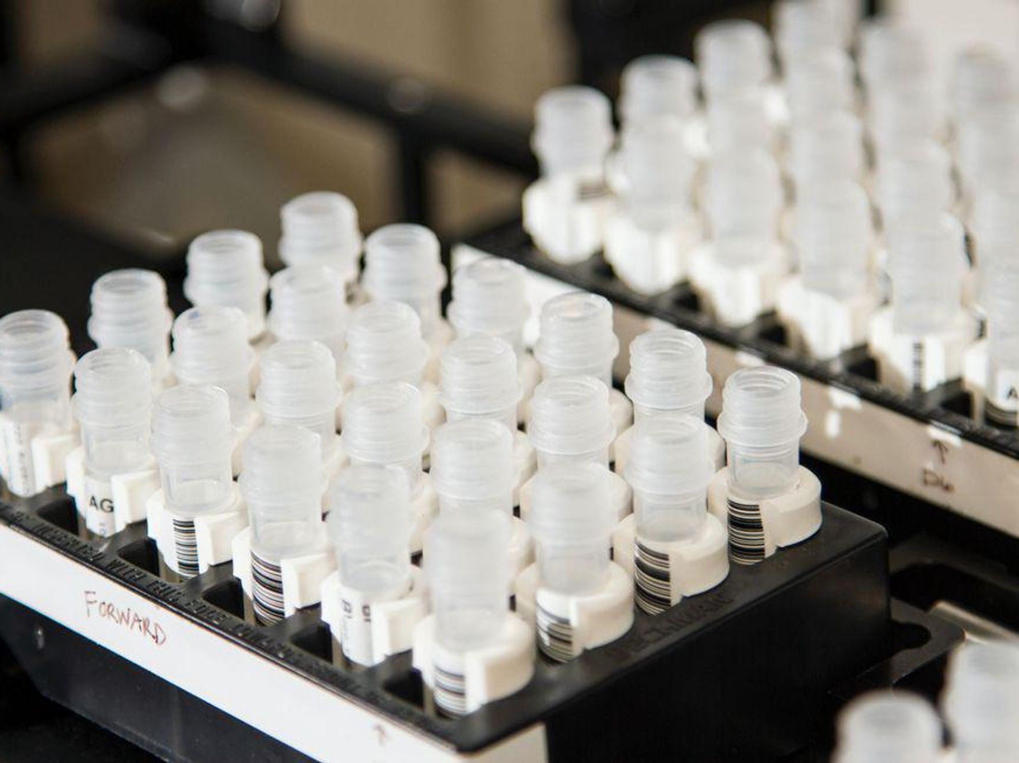 Appia Bio Inks Mega Deal To Scale Cancer Therapies