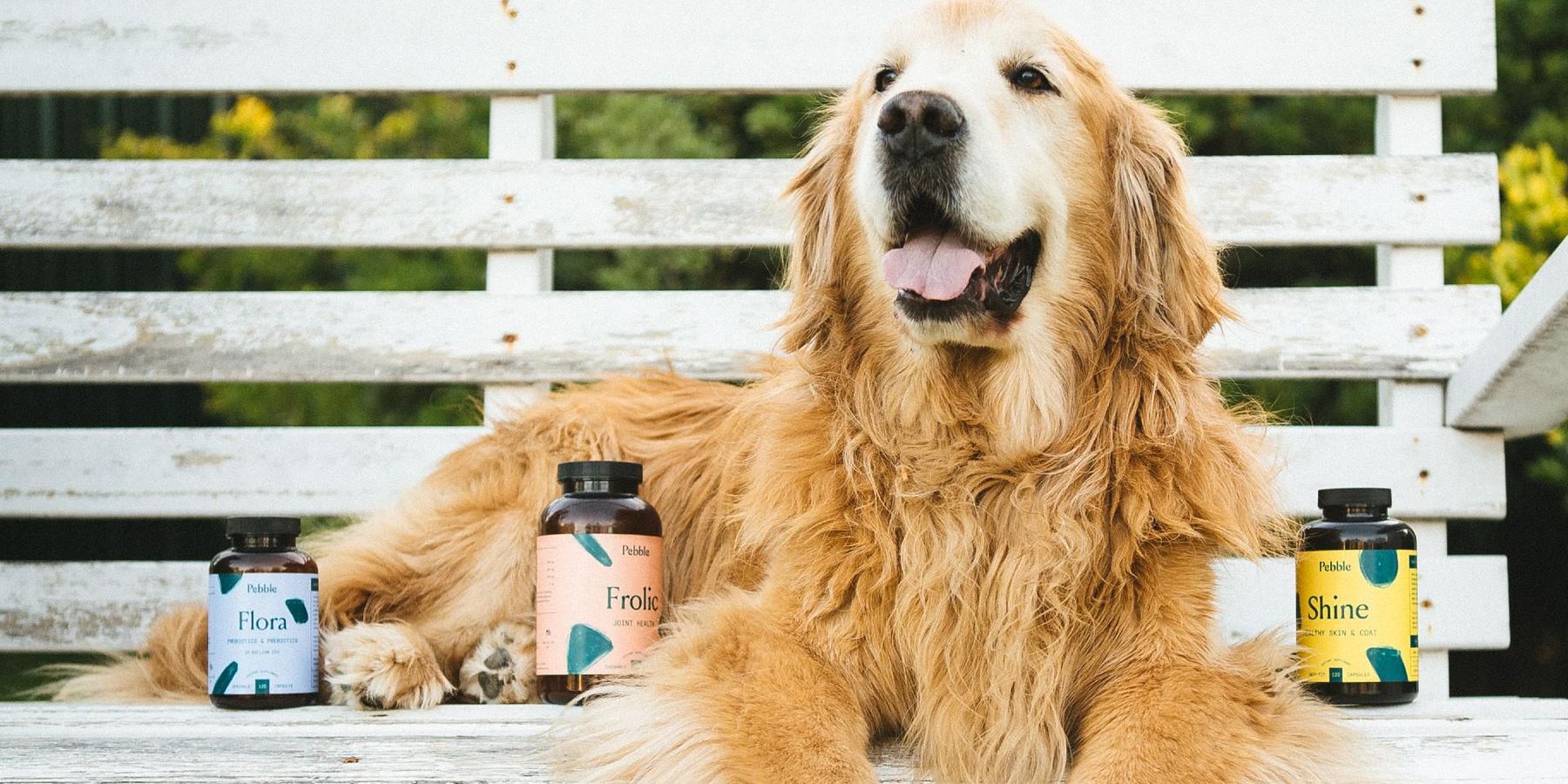 Two Accelerators, 17 Startups