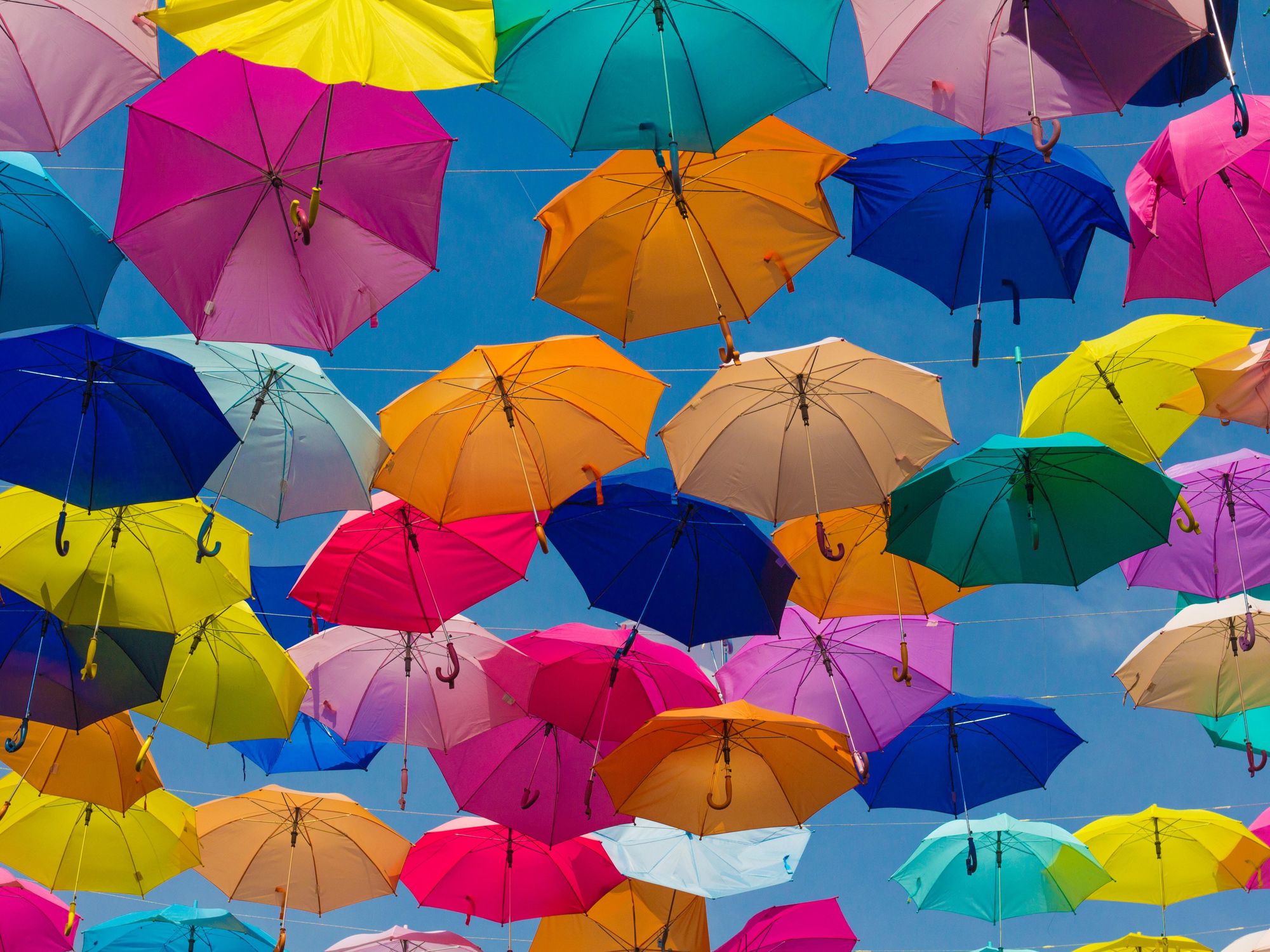 Counterpart Rakes In $10M To Help Small Businesses With Liability Insurance