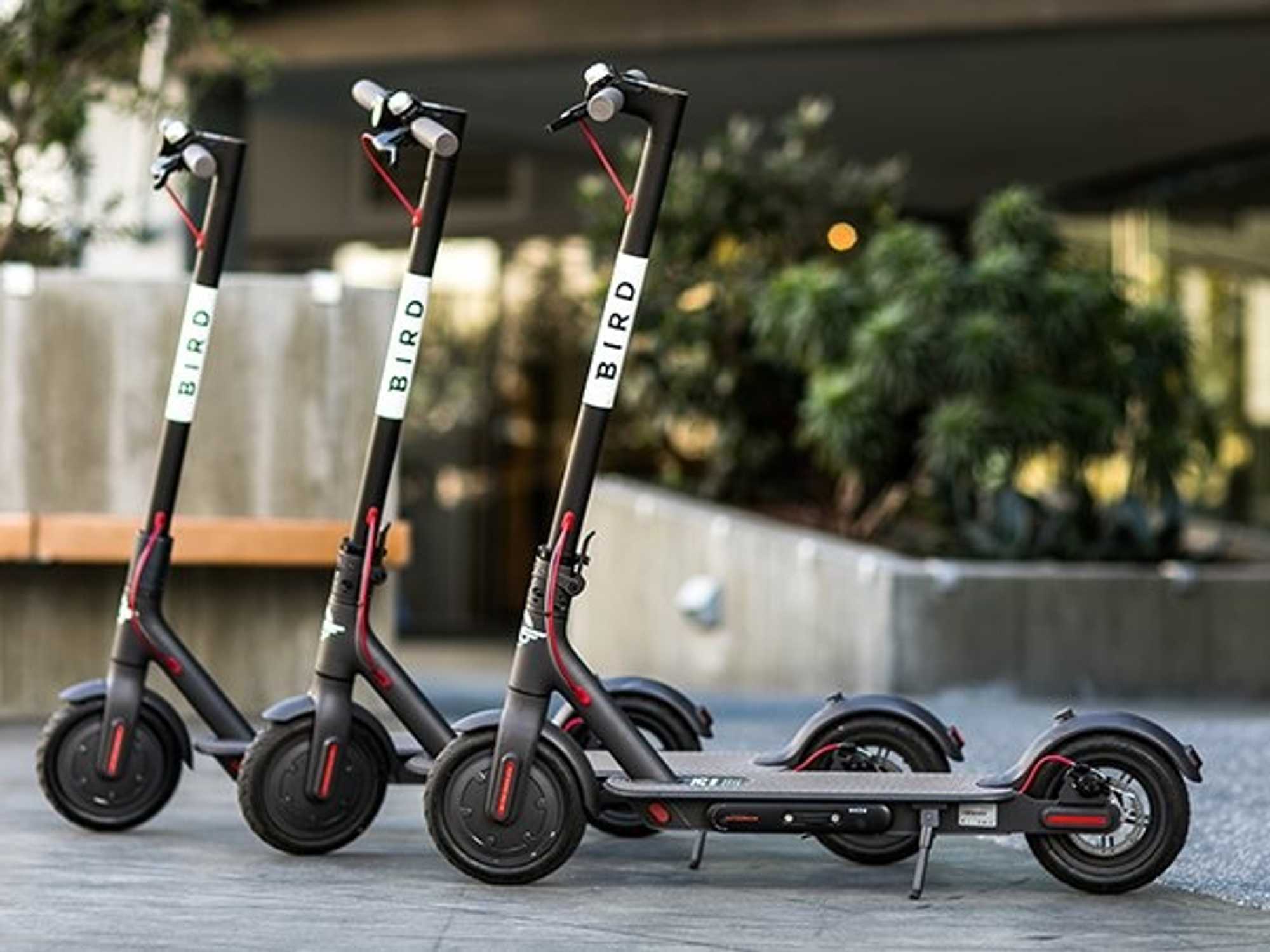 Bird scooters