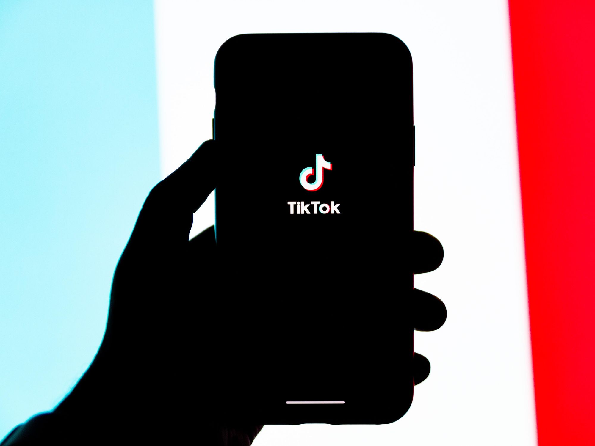 TikTok Is the #1 Downloaded App in the World