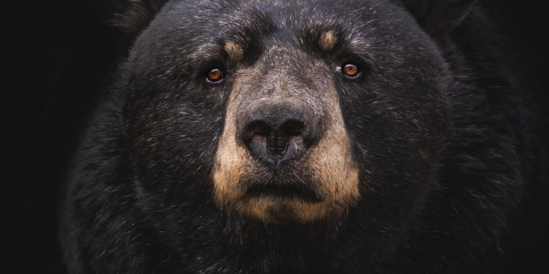 Is Venture Capital Due for a Slowdown?