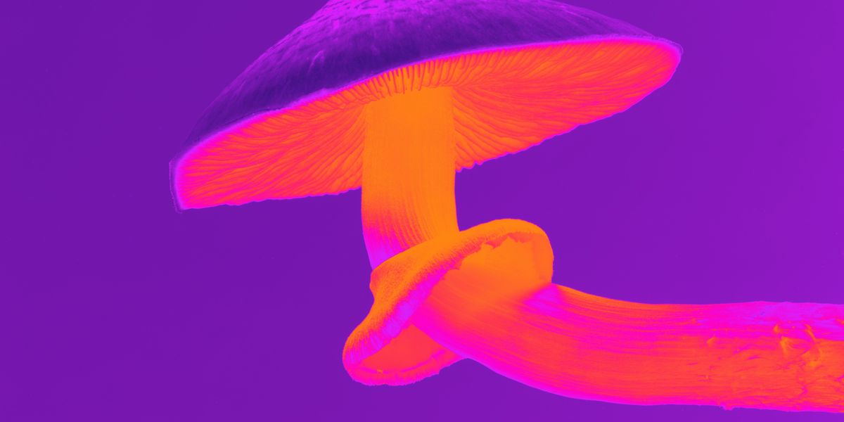 The LA Startups Working on Psilocybin