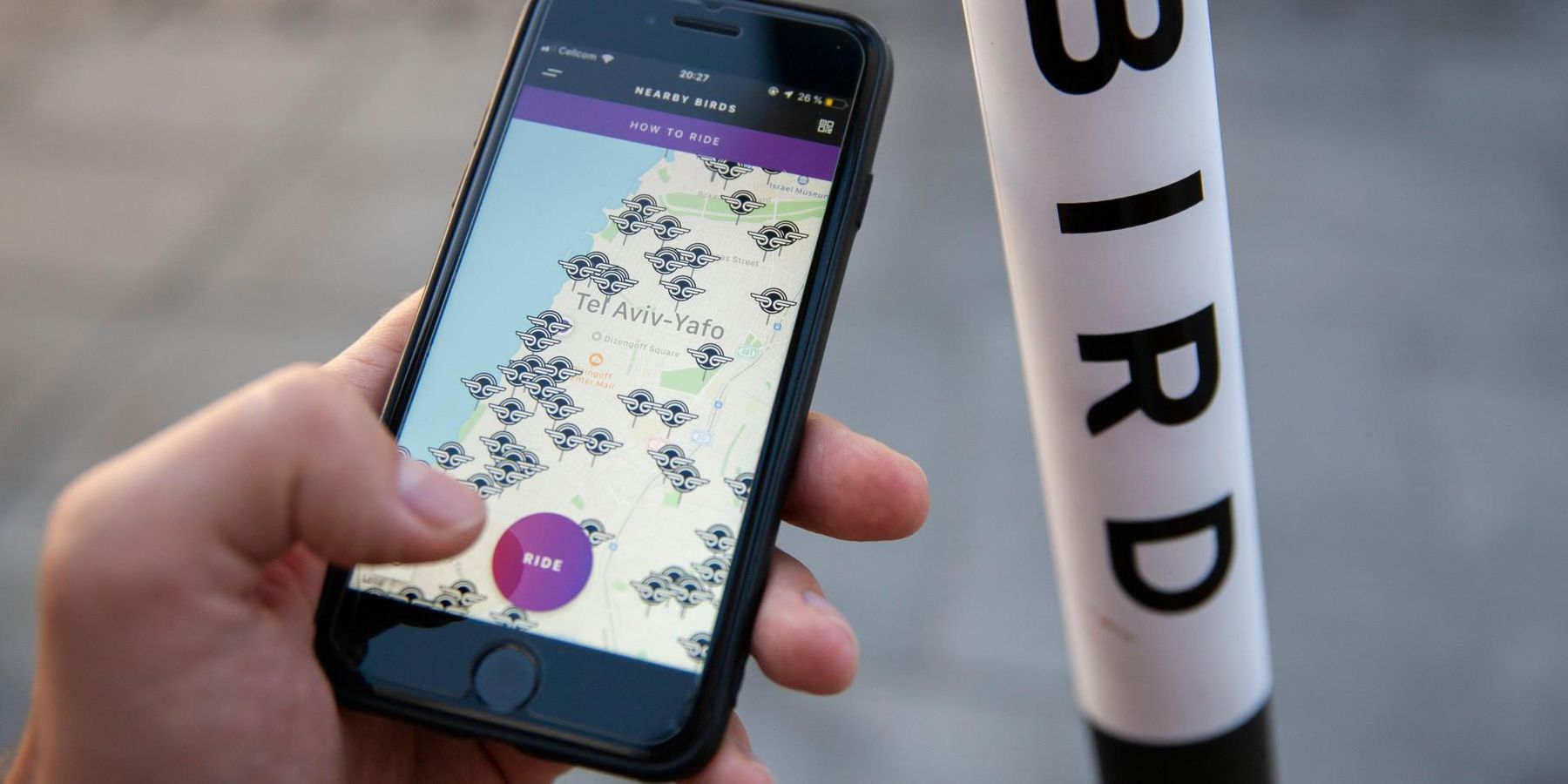 The Company That Will Take Bird Public