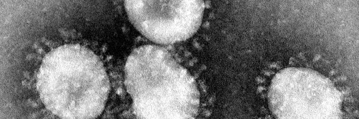 White House Seeks the Aid of Tech Titans to Combat Coronavirus and Misinformation