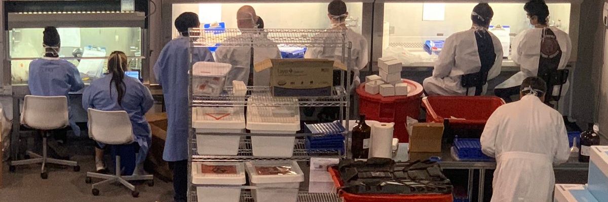 'They Are Desperately Trying to Hire': Inside Curative's Race to Produce 10K COVID-19 Test Kits a Day