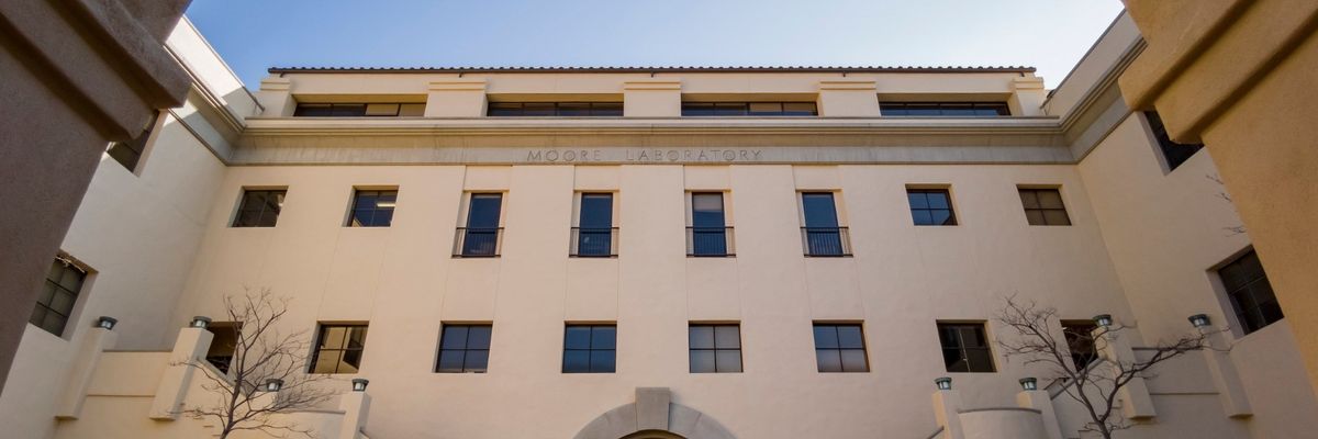 Can Venture Capital Help Unlock 'Underdeveloped' Caltech?