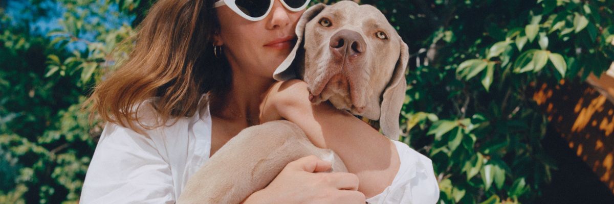 Tele-Vet Service Modern Animal's CEO on How the Pandemic Boosted App Adoption