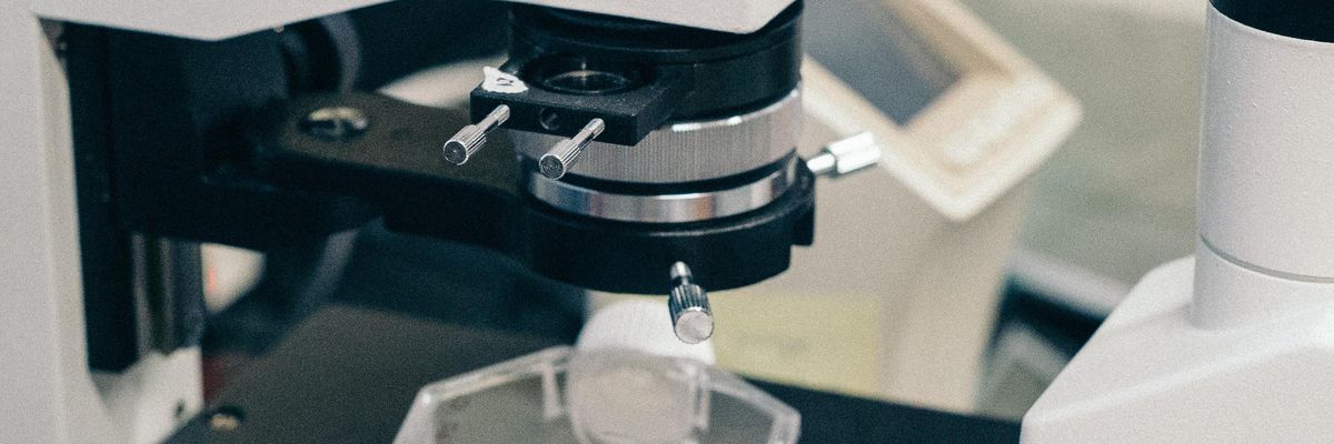 New Biopharma Company Acelyrin Is on the Hunt for Immunotherapy Drugs