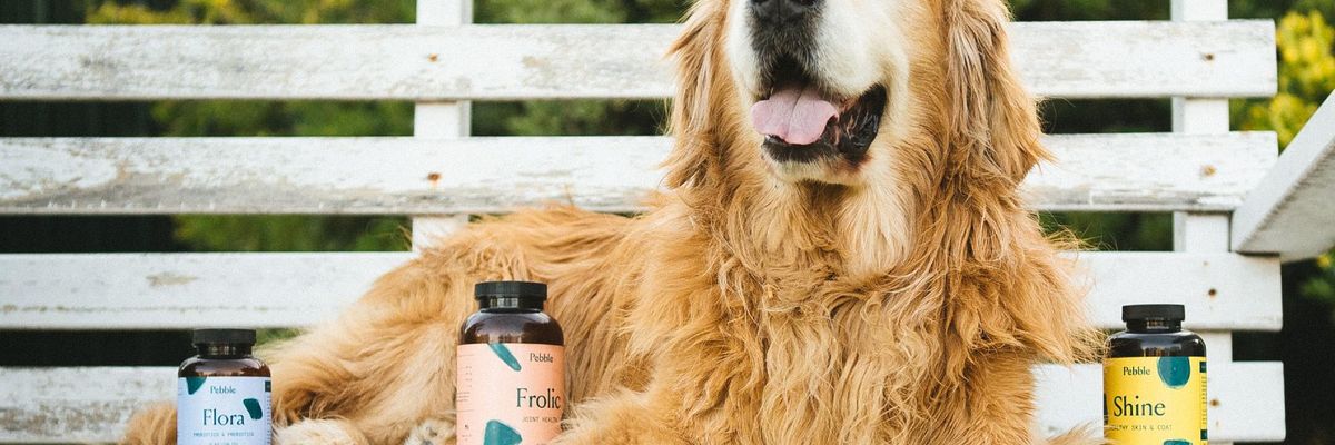 As Pet Ownership Skyrockets, Leap Announces Four Legged-Focused Accelerator Class