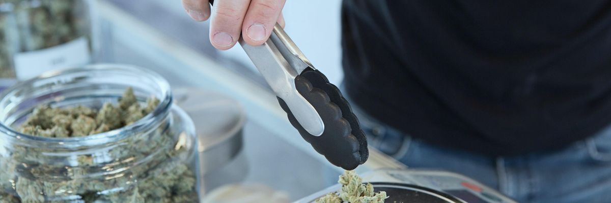As the Green Rush Grows, Newport Beach's Blaze Keeps Cannabis Startups Coordinated