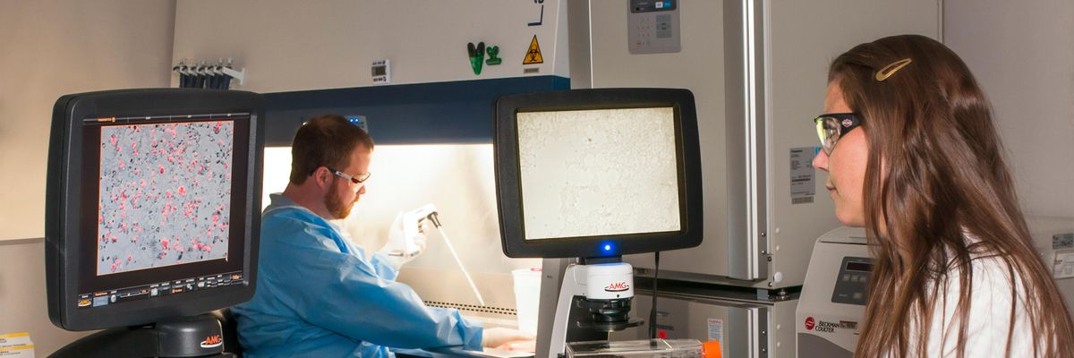 How Preveta Could Change the Game for Early Cancer Detection