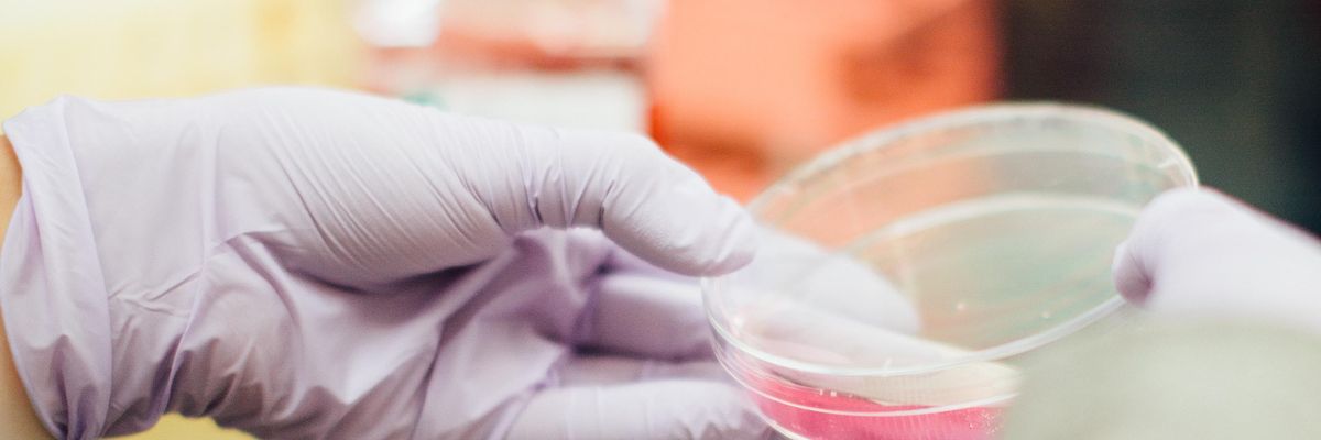 Meet the New SoCal Accelerator for Biotech Startups