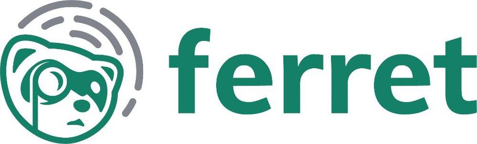 Ferret security logo