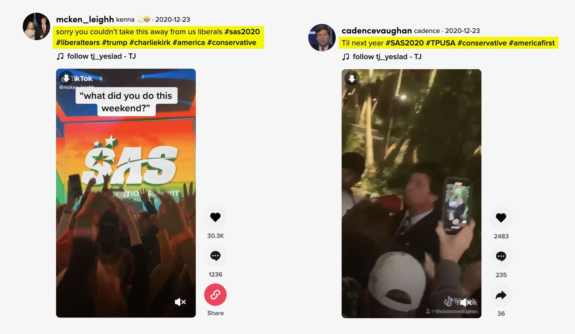 TikTok Political Ads