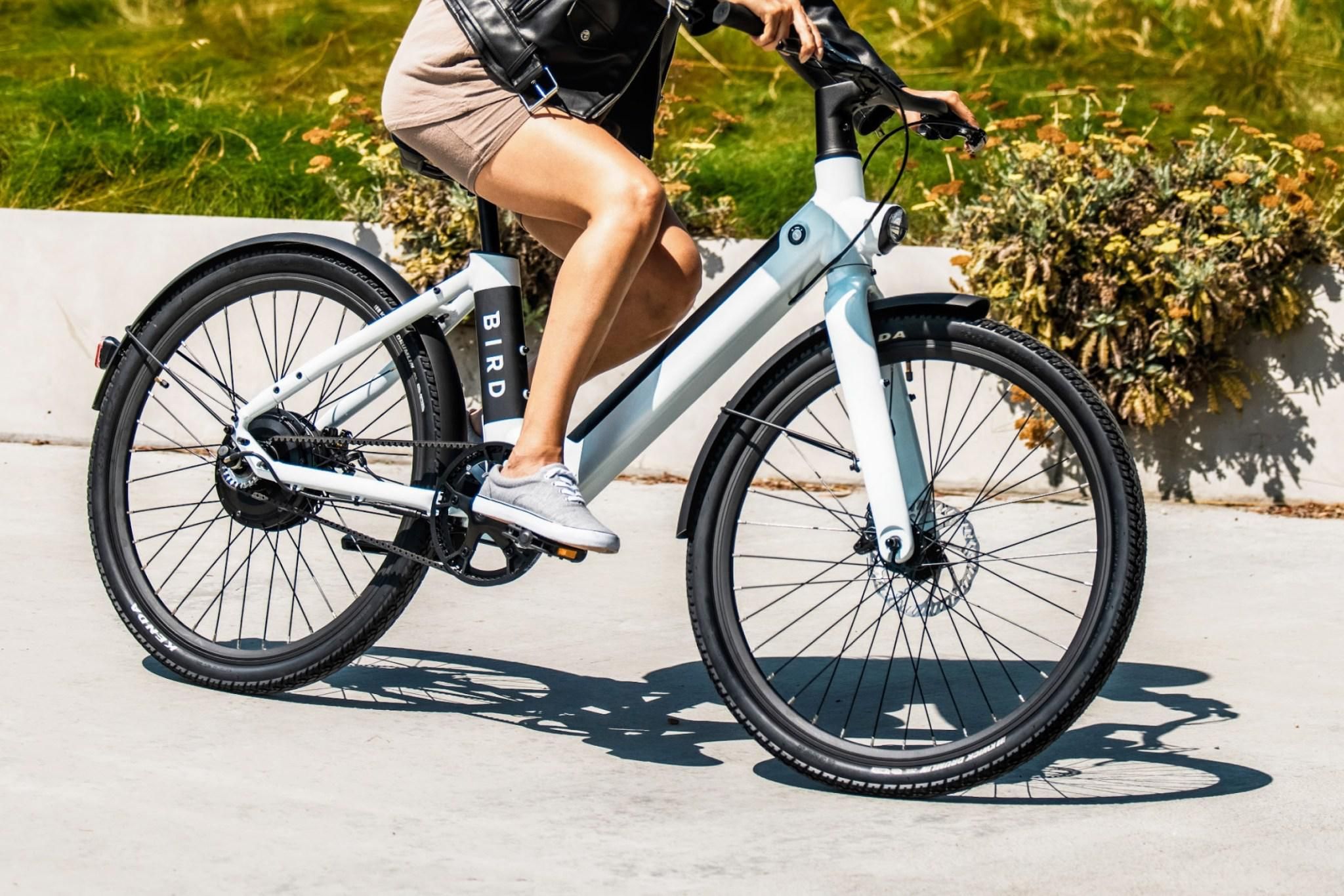 Bird e-bike