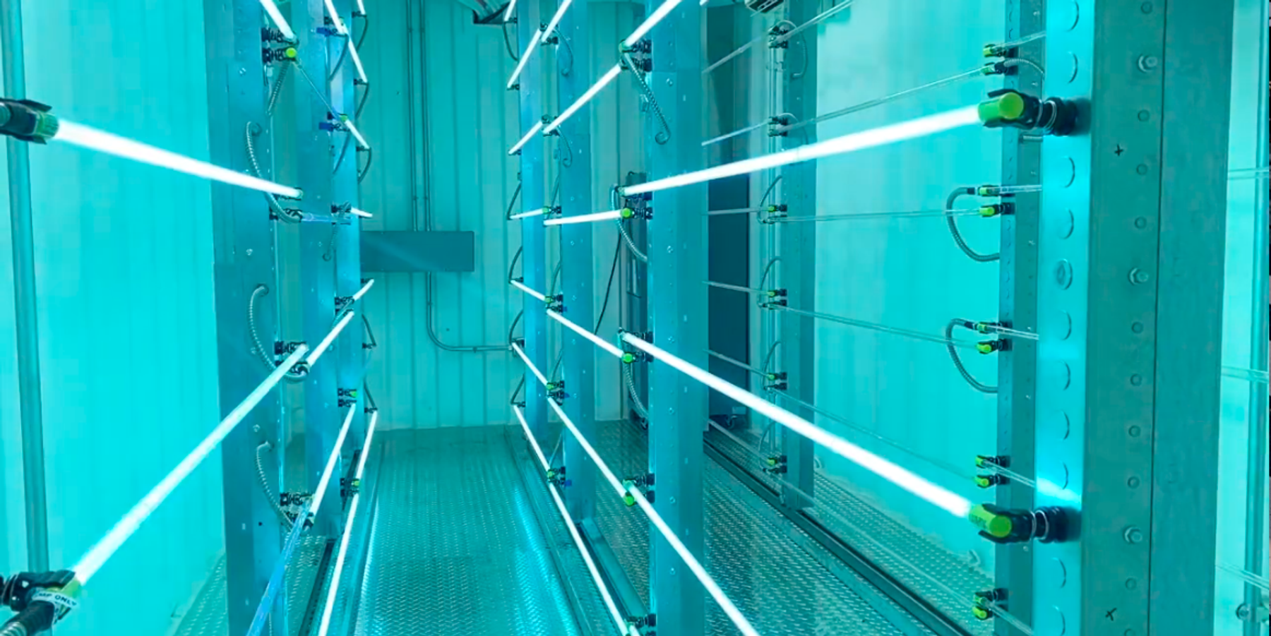 How a Startup Pivoted from Concerts to Cleaning