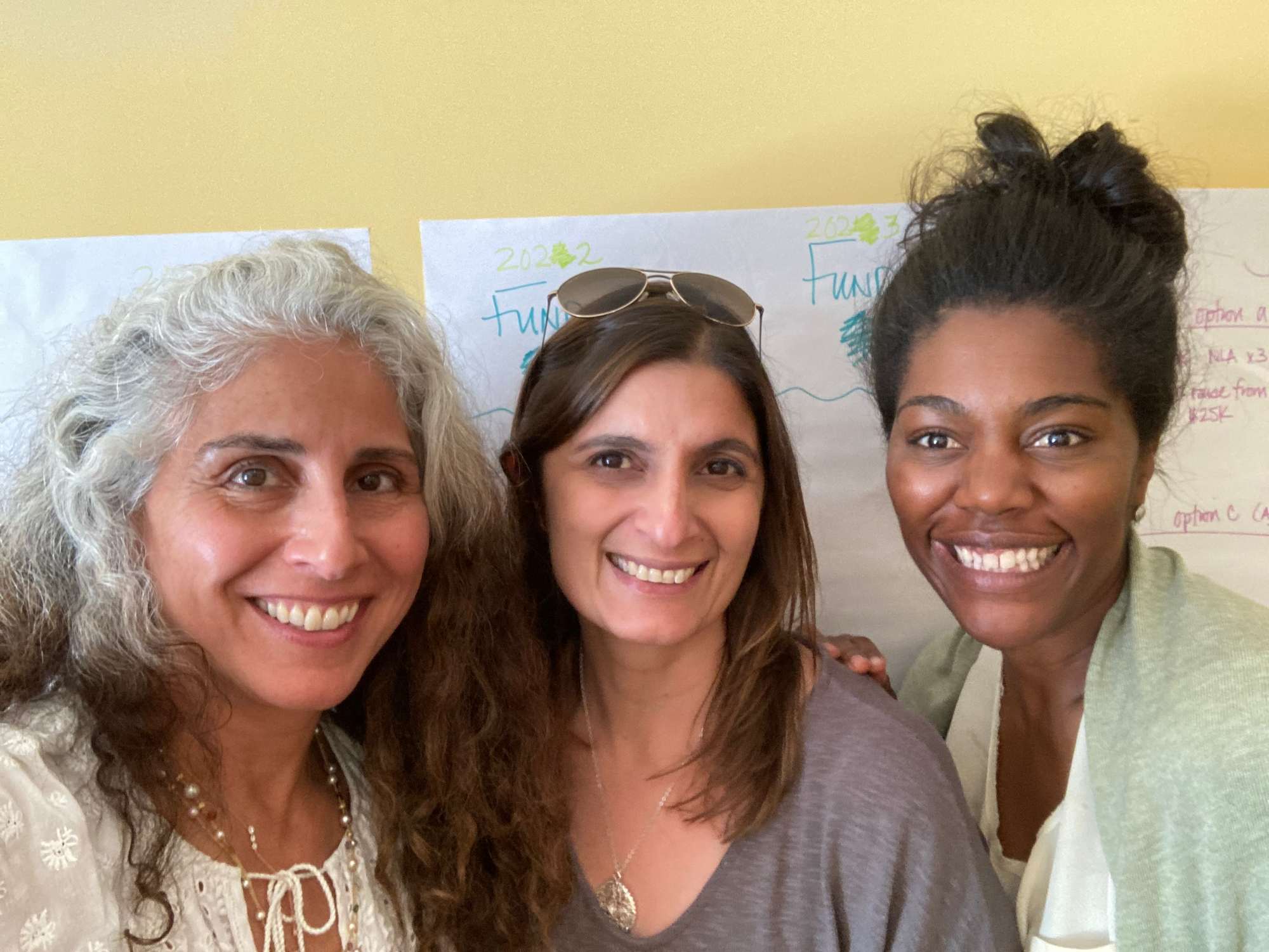 From left: Emmeline Ventures co-founding partners Azin Radsan van Alebeek, Naseem Sayani and La Keisha Landrum Pierre.