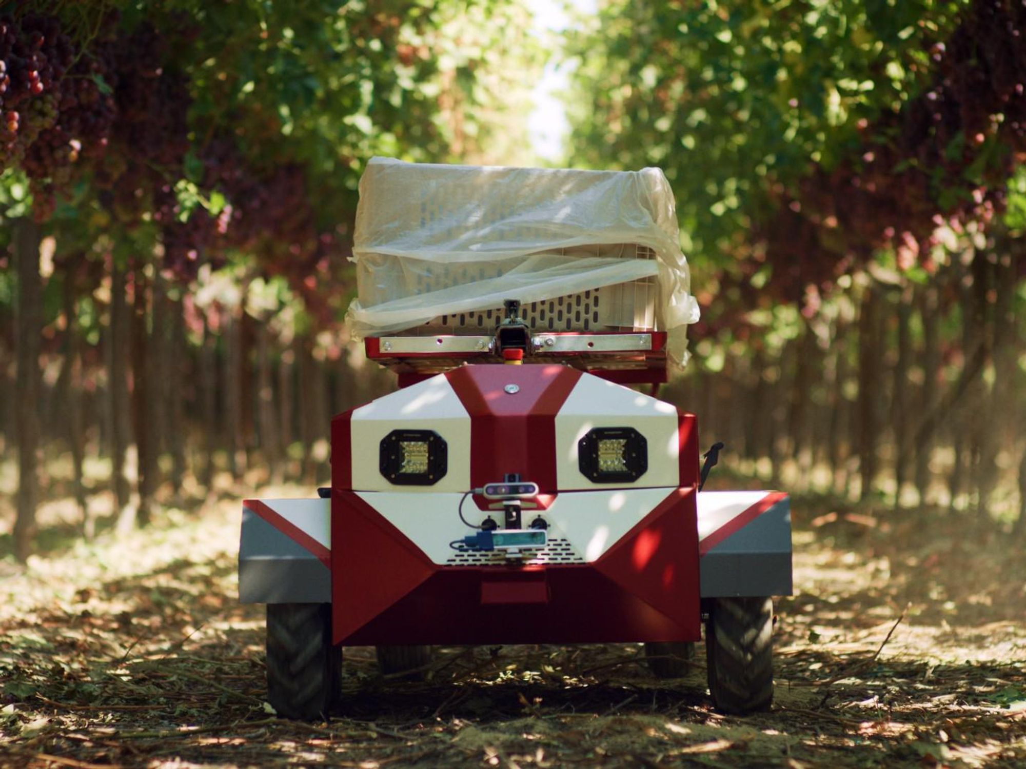 Meet Carry, the Robot That Aims to Make Picking Produce Easier for Small Farms
