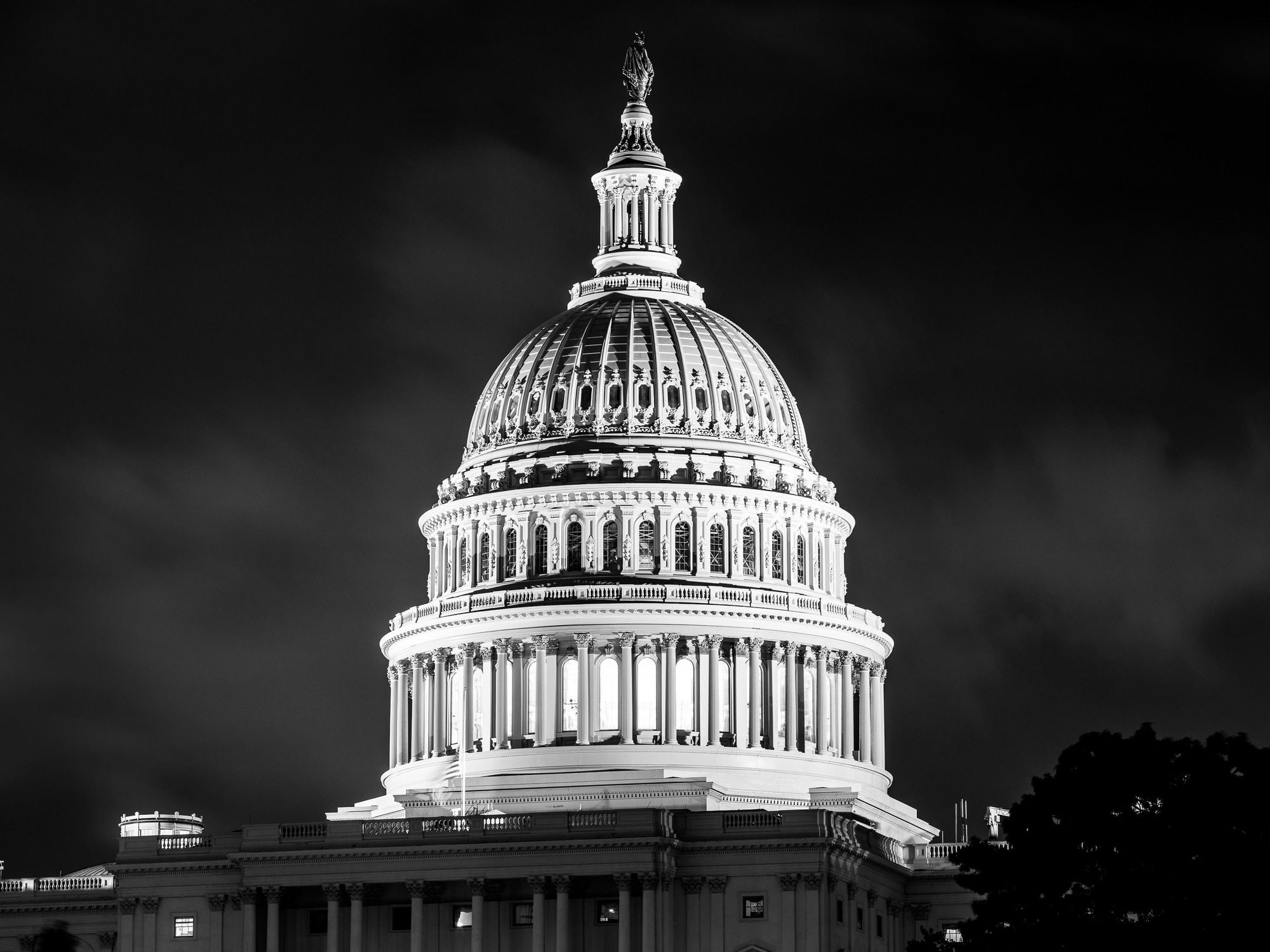 'The War Begins Today': From Twitter to Parler, How Trump Supporters Organized