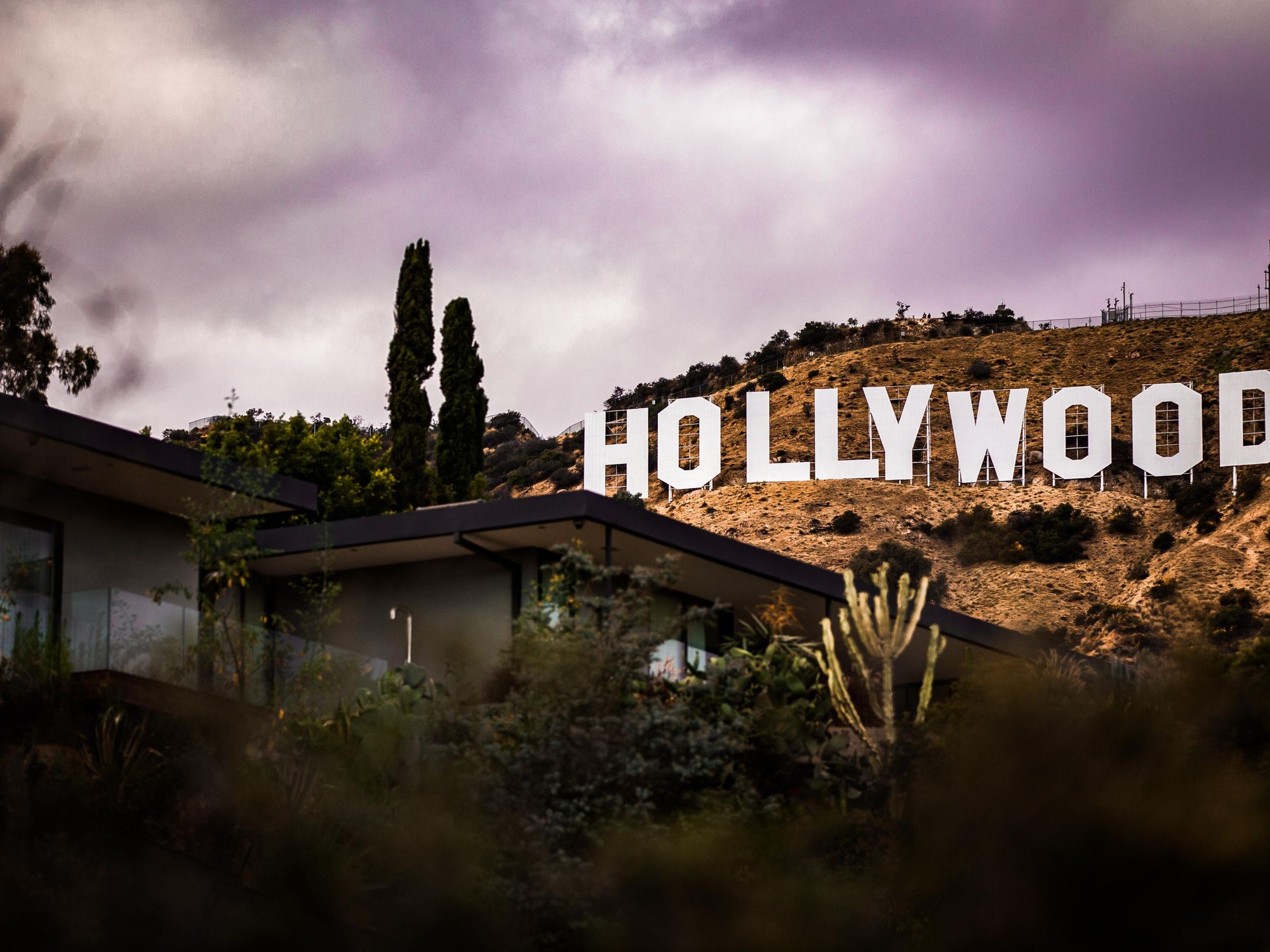 The Artists, Programmers and Business Folks Seeking To Dethrone Hollywood