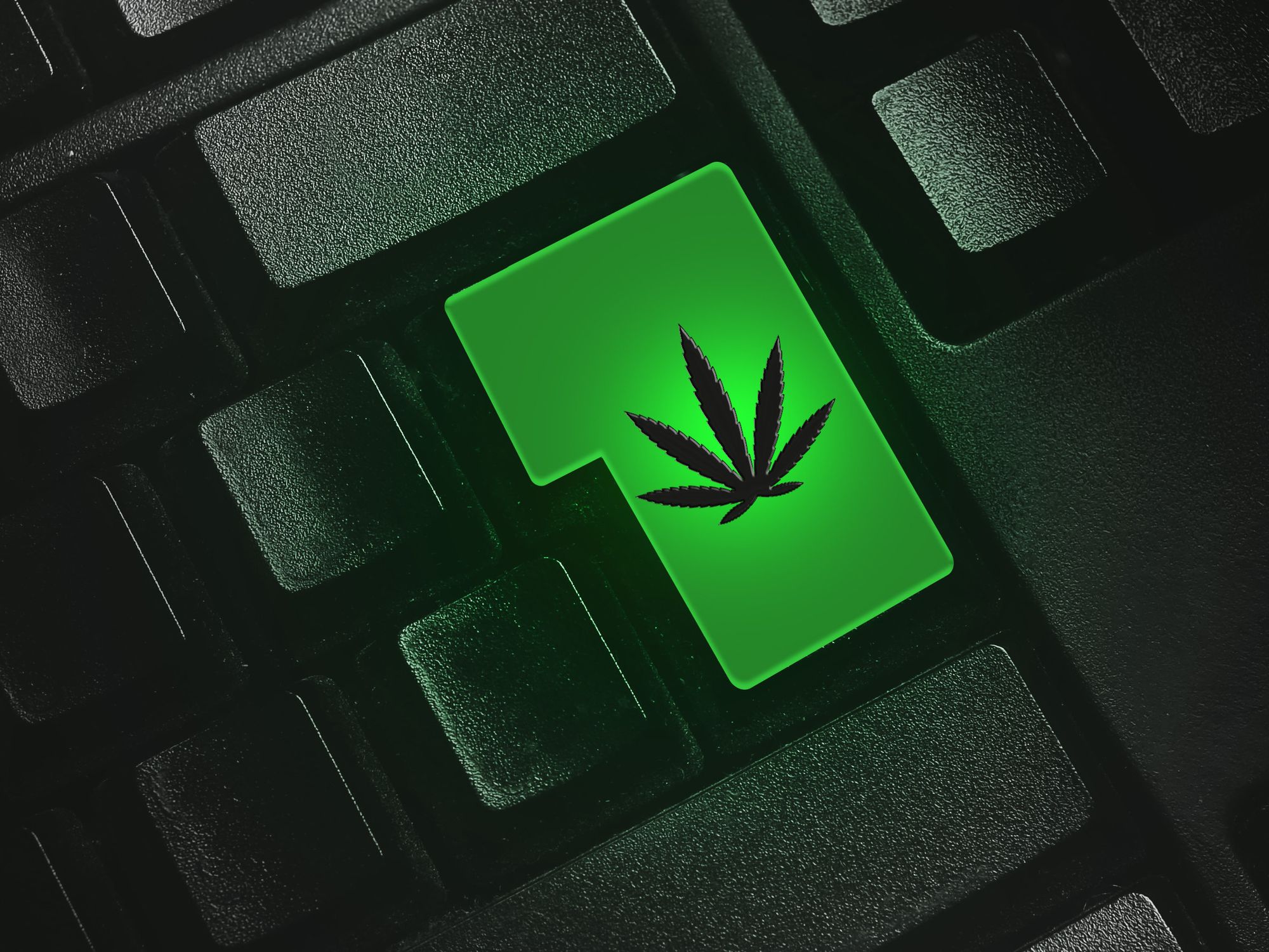 'We're Not Selling Weed, We're Selling Software': How Tech Gets Caught in Marijuana Laws