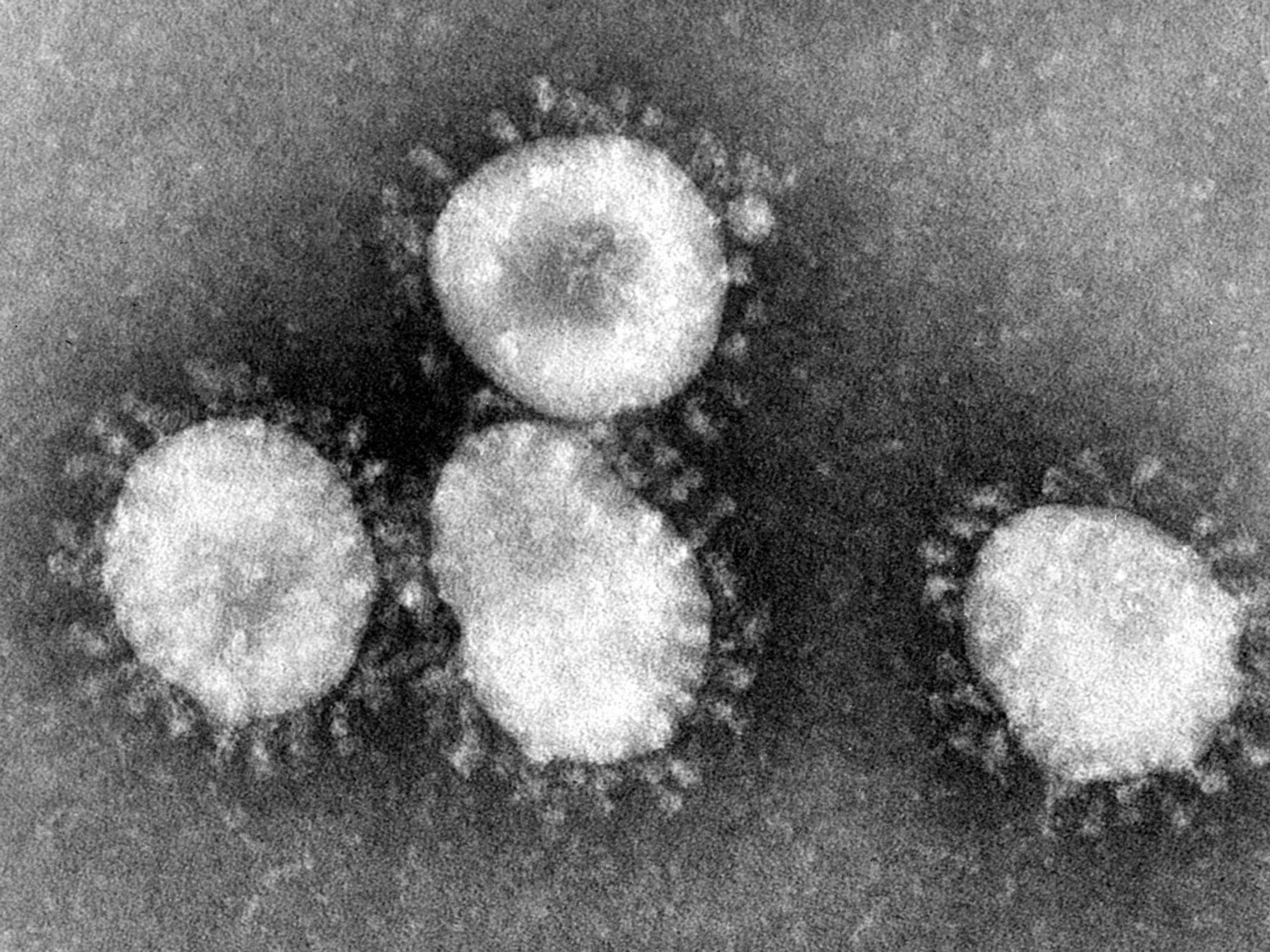 White House Seeks the Aid of Tech Titans to Combat Coronavirus and Misinformation