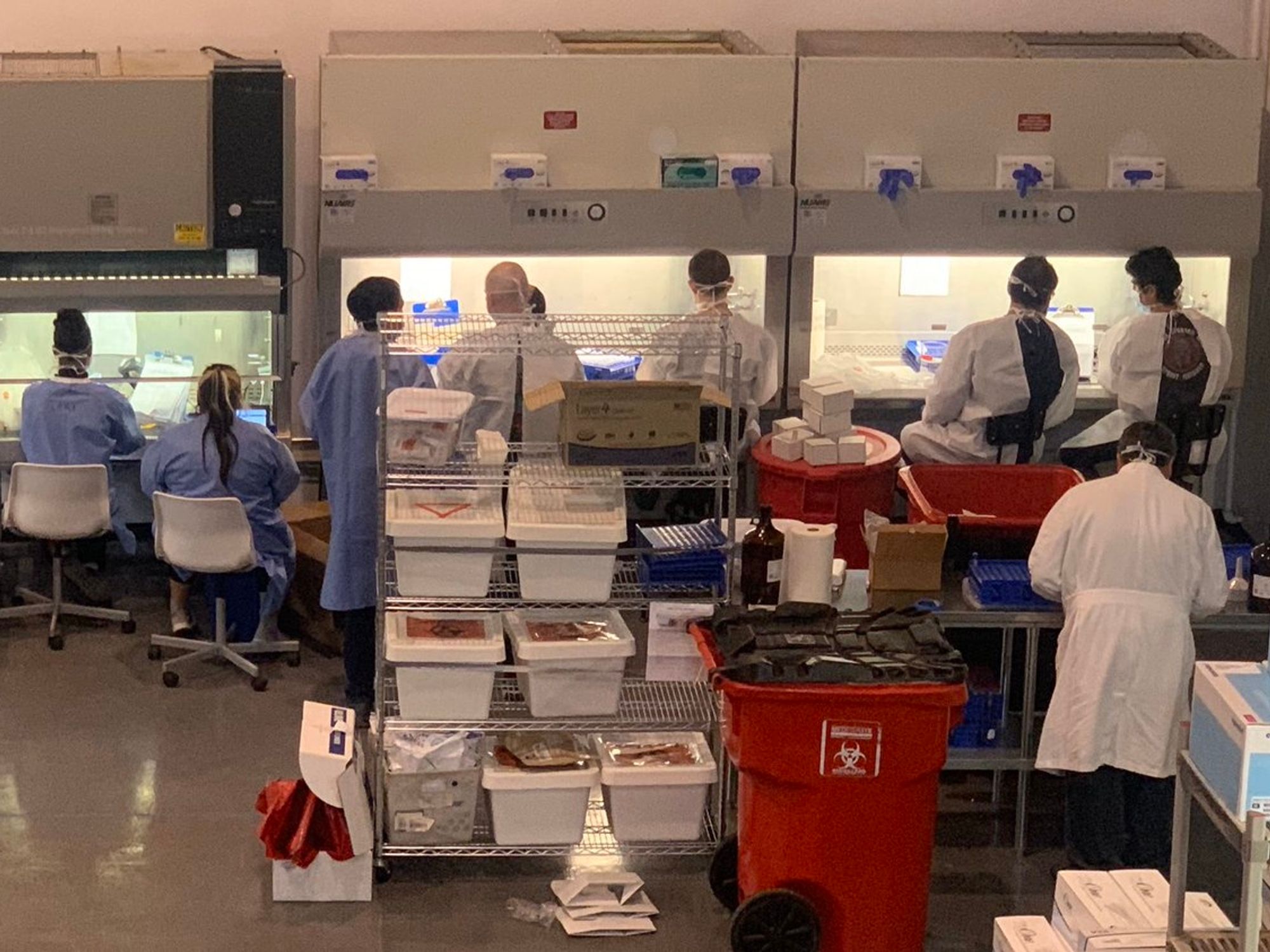 'They Are Desperately Trying to Hire': Inside Curative's Race to Produce 10K COVID-19 Test Kits a Day