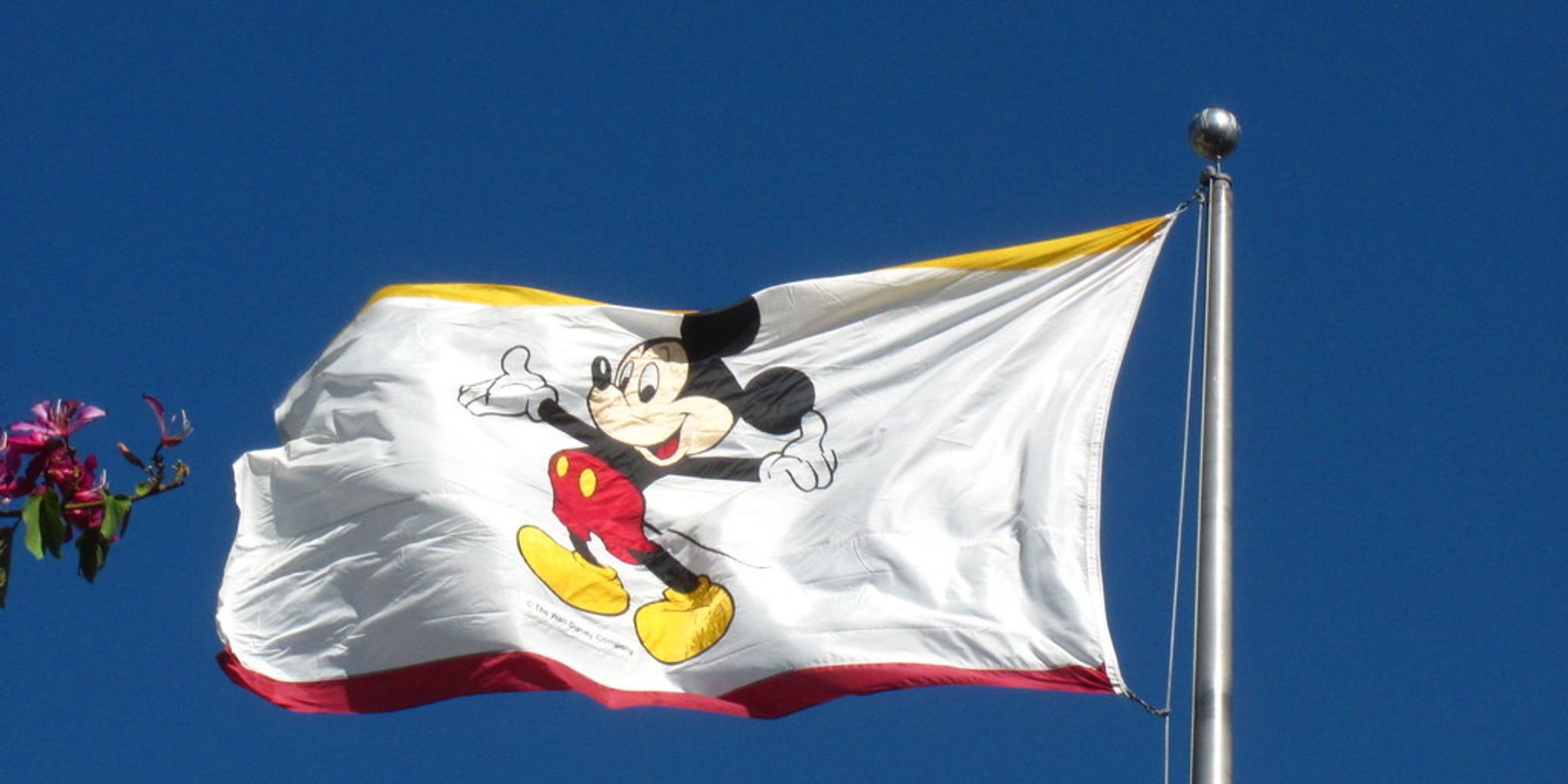 Disney Plus Blows Past Expectations with 73M Subscribers