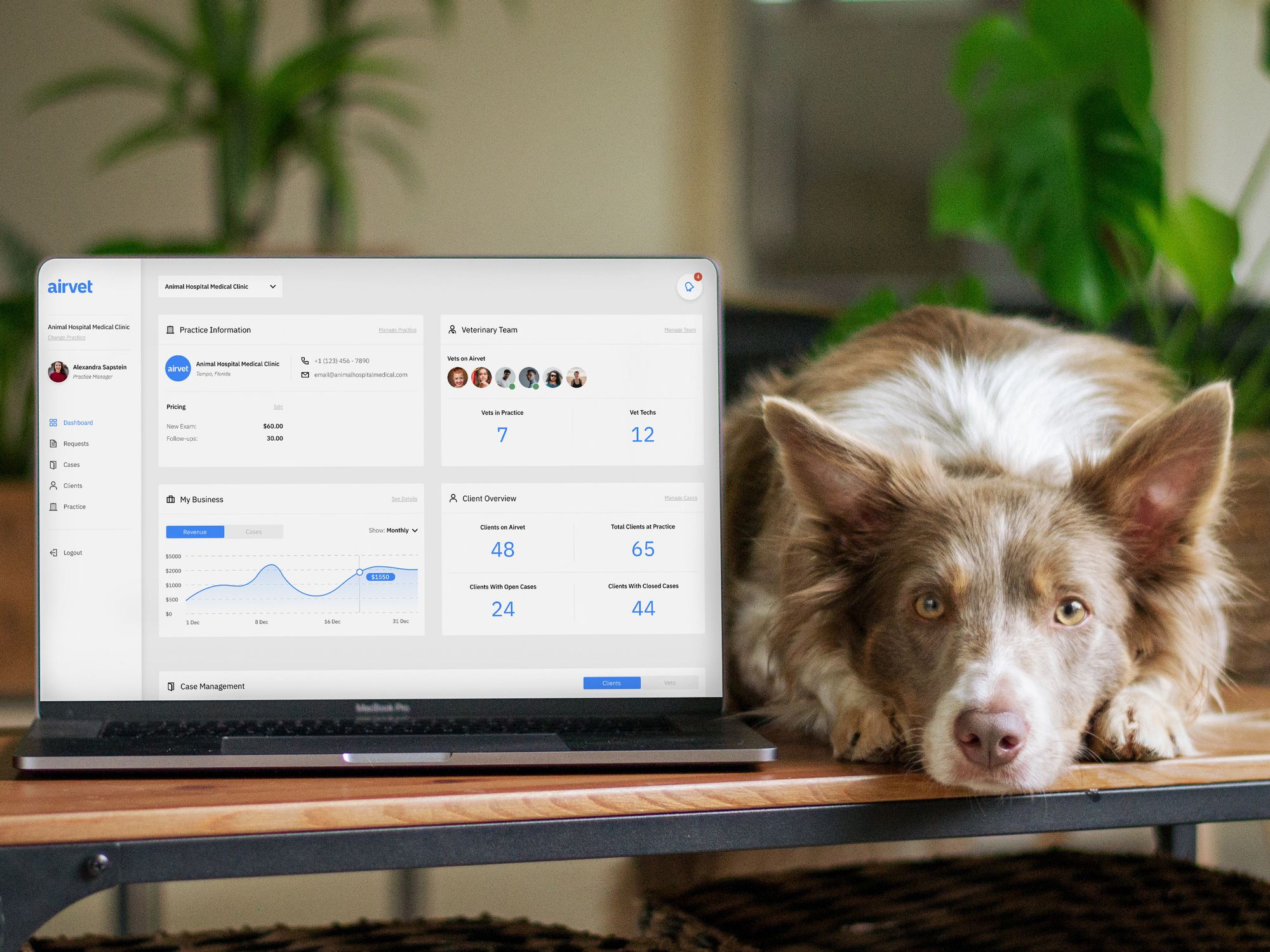 Visit Your Vet From Home: Culver City's Airvet Raises $14M