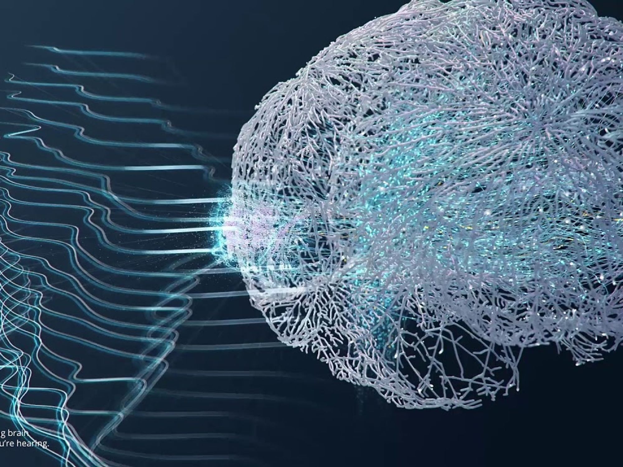 Kernel Raises $53M in Quest to Hack Humans with Brain-Reading Machines