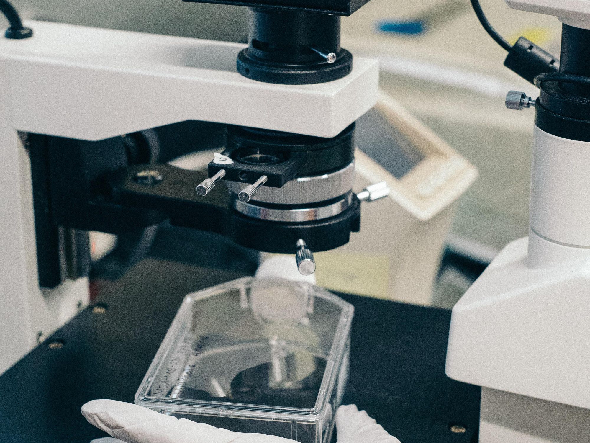 New Biopharma Company Acelyrin Is on the Hunt for Immunotherapy Drugs
