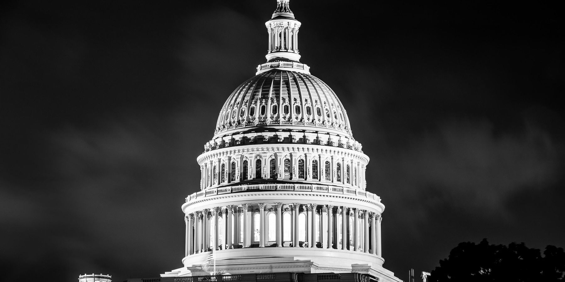 From Twitter to Parler, Where Trump Supporters Organized