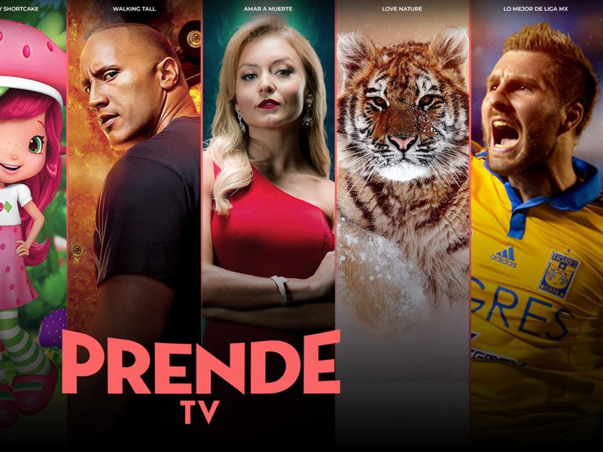 Univision's PrendeTV Pushes Into Spanish-Language Streaming with a Free Service. It Has Competition.