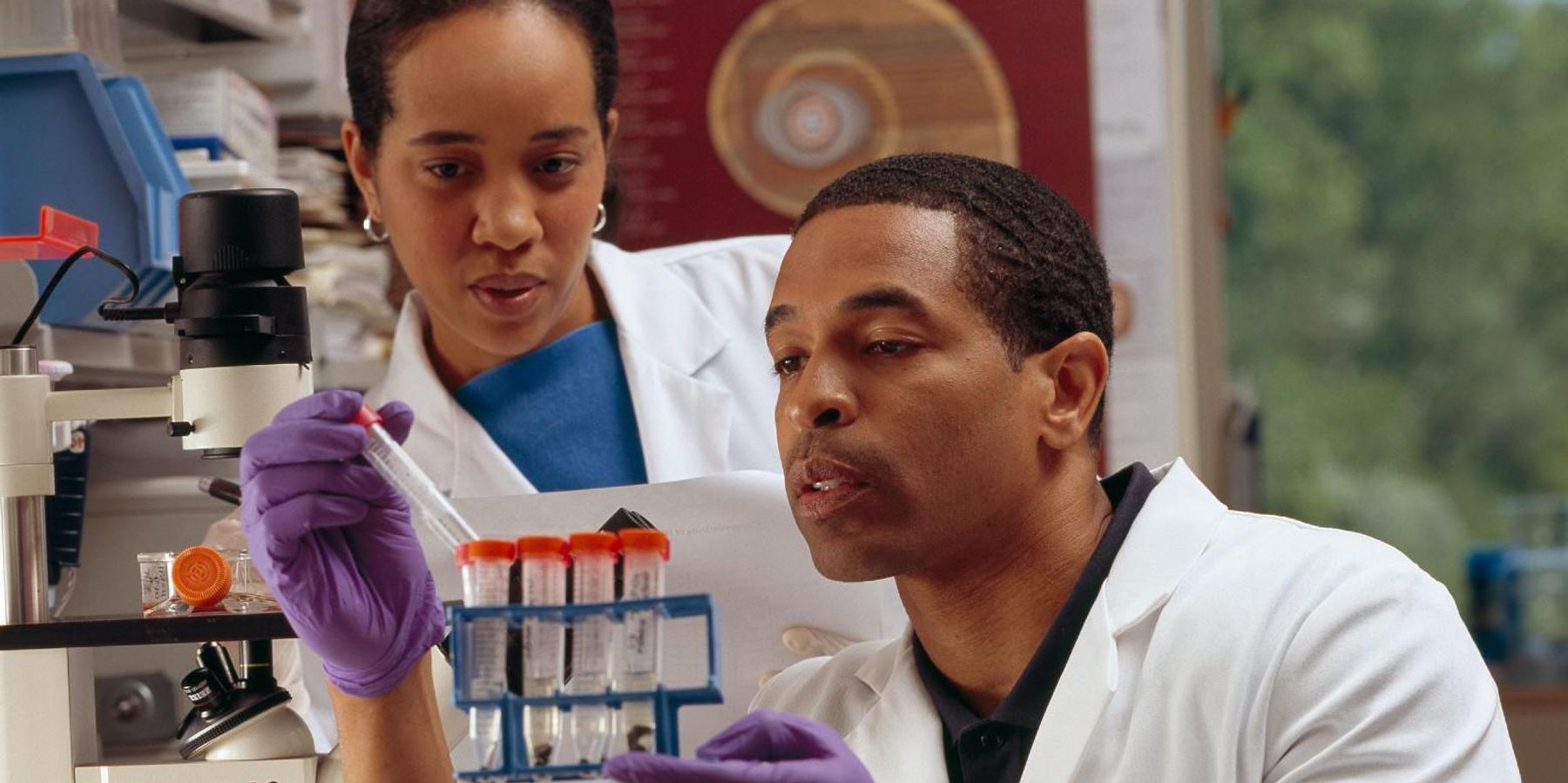 A New Search Tool for Biotech