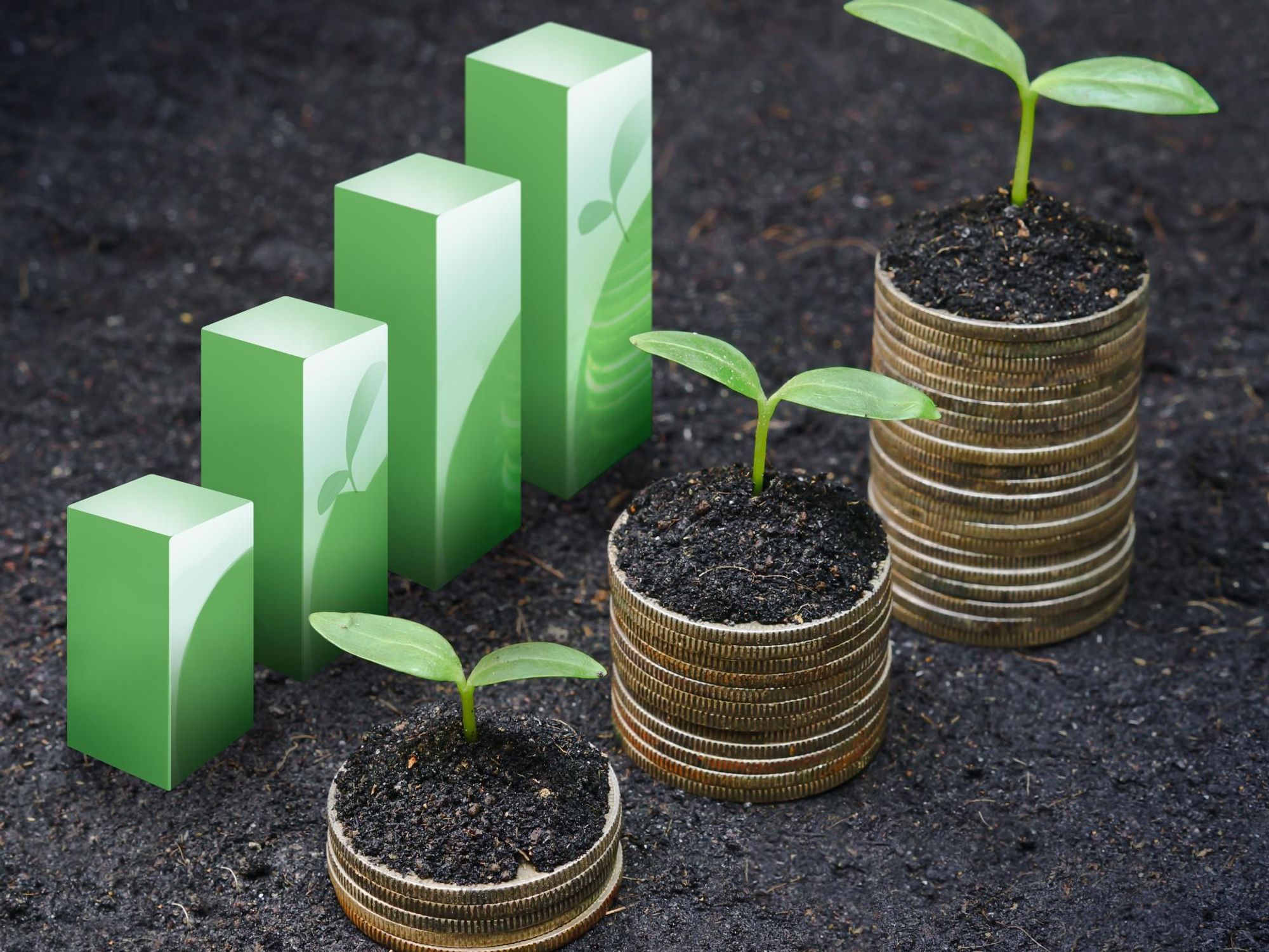 Column: How to Start a Corporate Social Responsibility Program at Your Startup — and Why