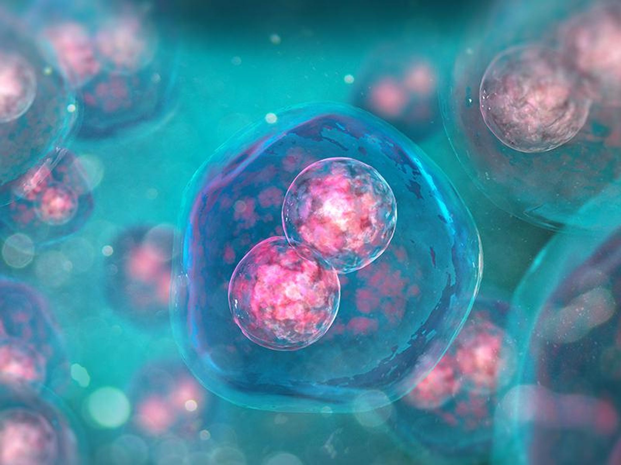 ImaginAb Aims to Help Our Immune Systems Better Detect Late-Stage Cancer