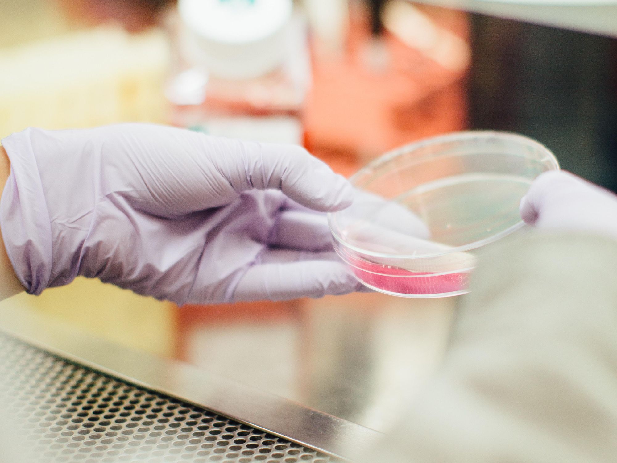 Meet the New SoCal Accelerator for Biotech Startups