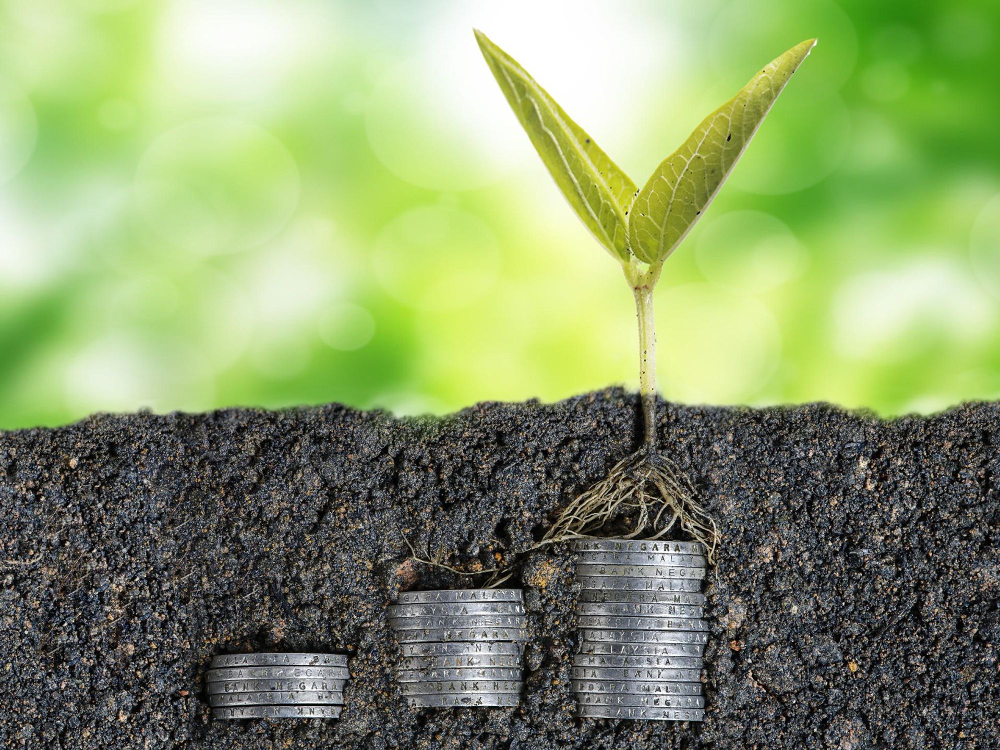 Office Hours: How to Fundraise Your Seed Round