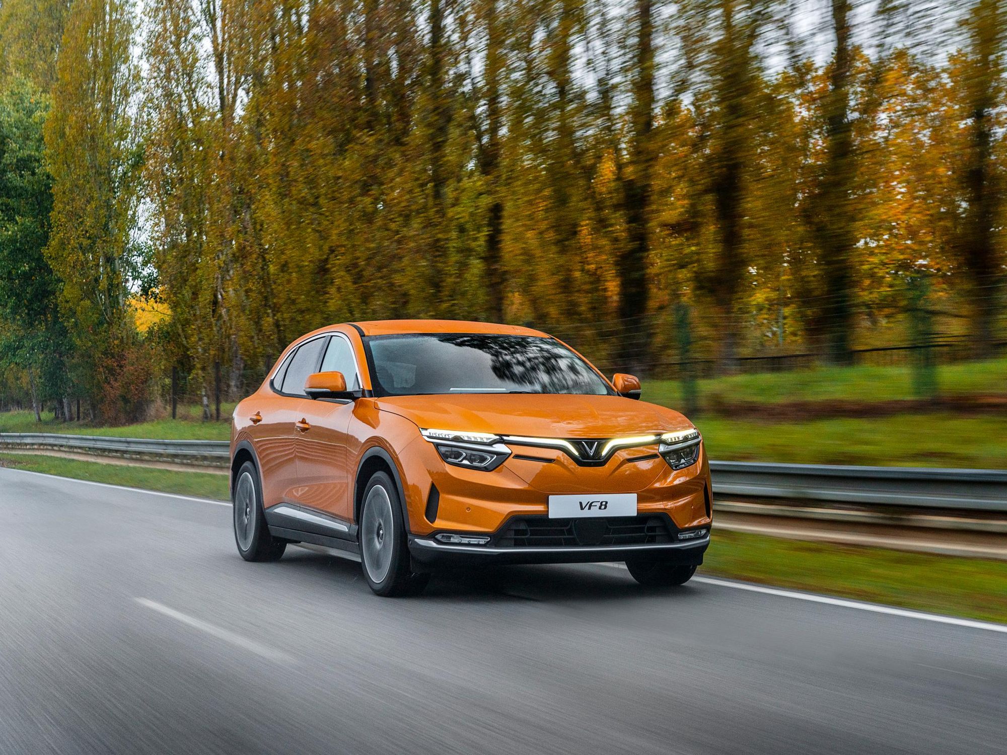 Vinfast's First EVs Have Just 180 Miles of Range but Still Cost Over $55K