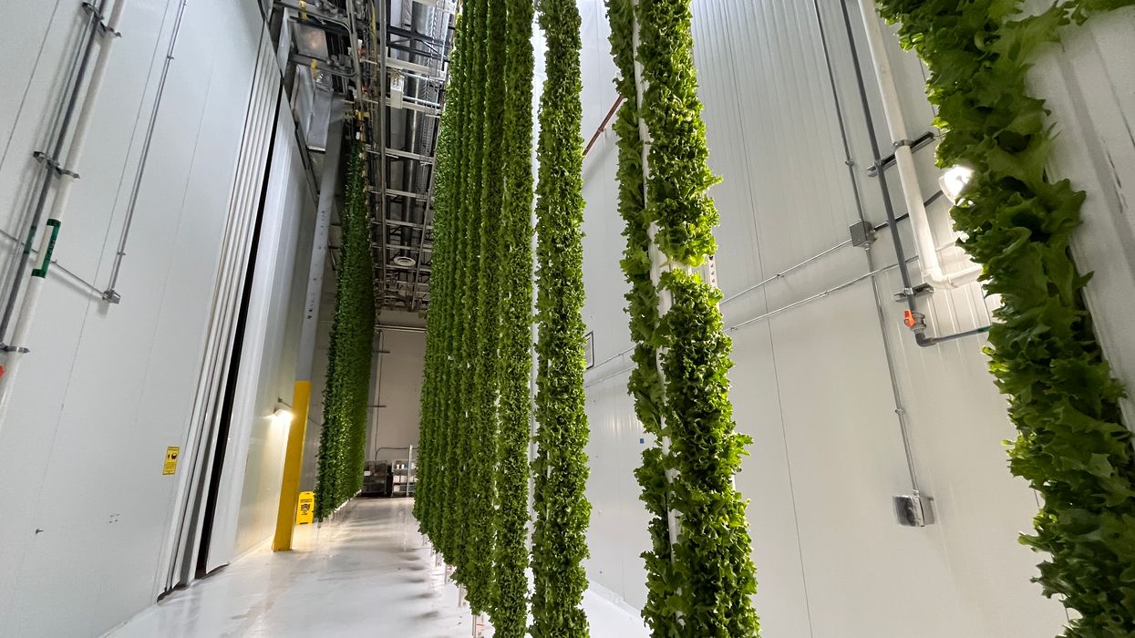 The Future of Urban Farming Looks Like a Formerly Abandoned Warehouse in Compton