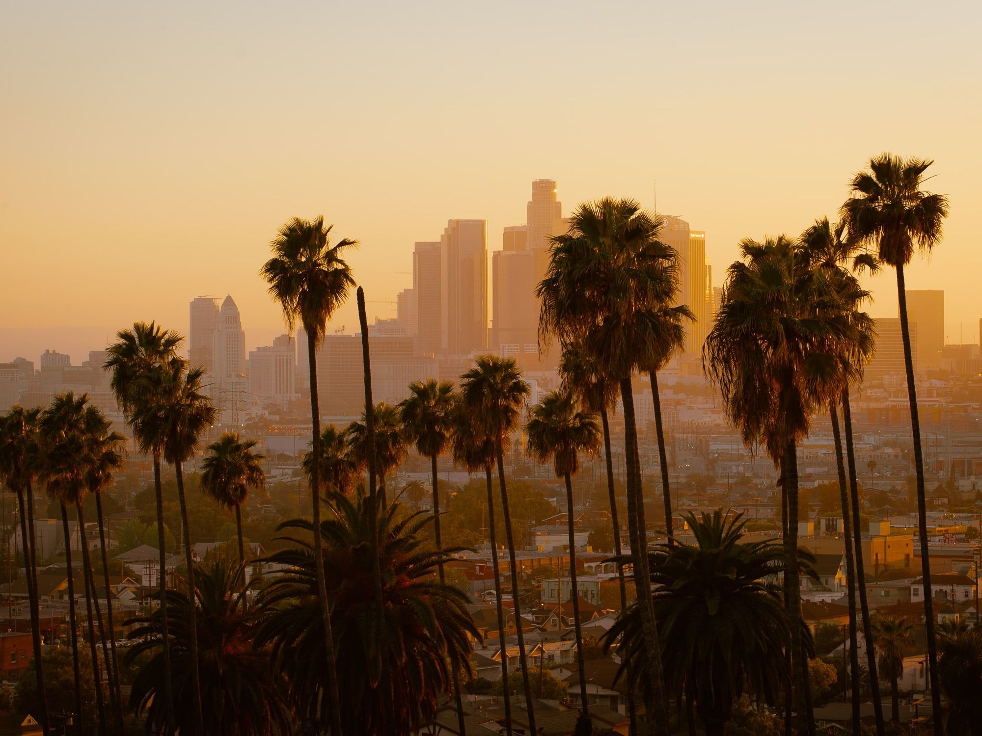 🌴 LA Firms Weigh In on California's Groundbreaking VC Diversity Law
