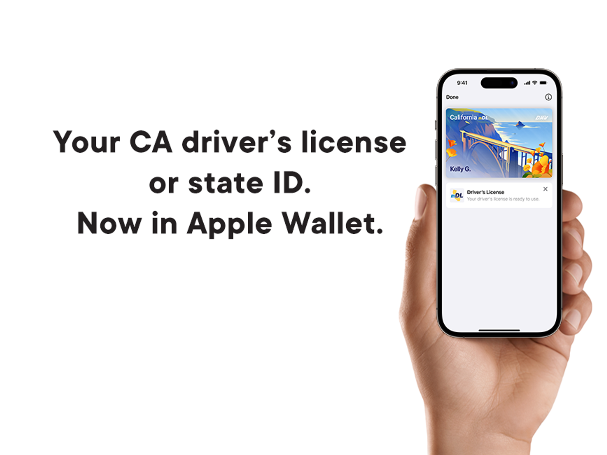 📱From Digital IDs to AI Feeds: Tech Giants Shake Up the Digital World