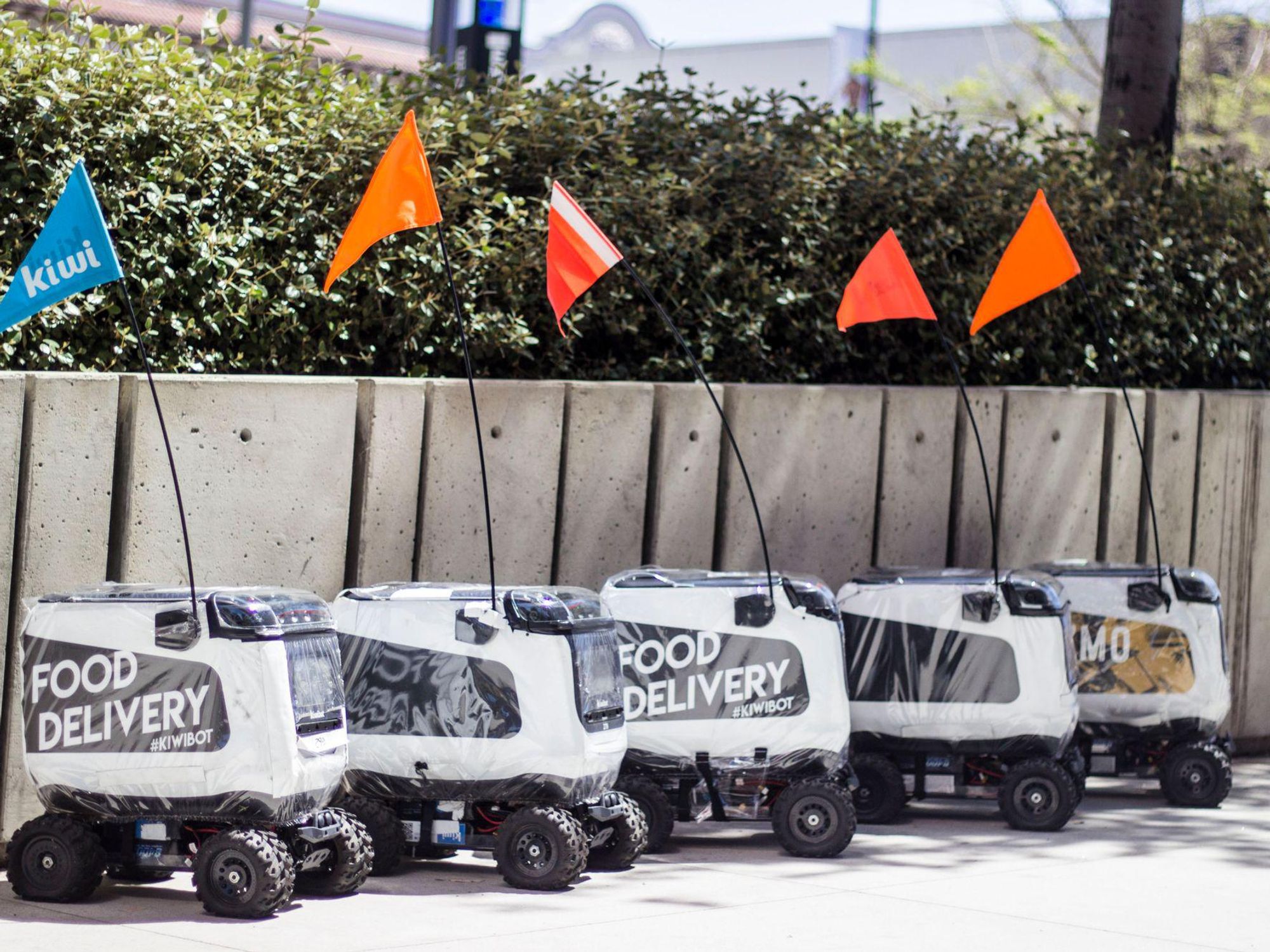 Kiwibot