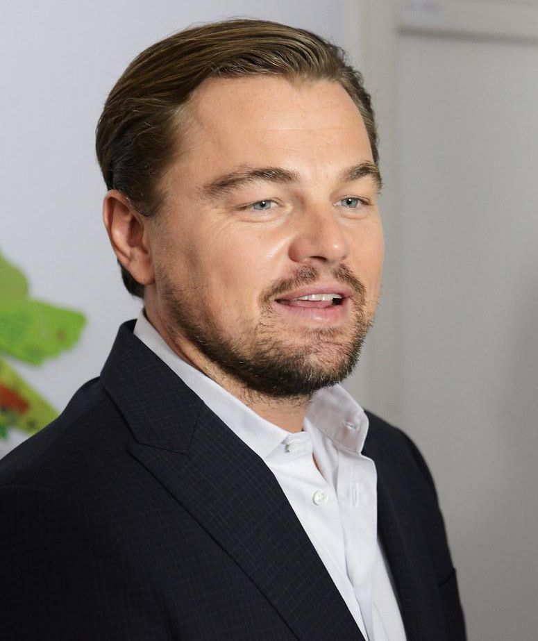 Leonardo DiCaprio Backs New $45 Million Climate VC Fund