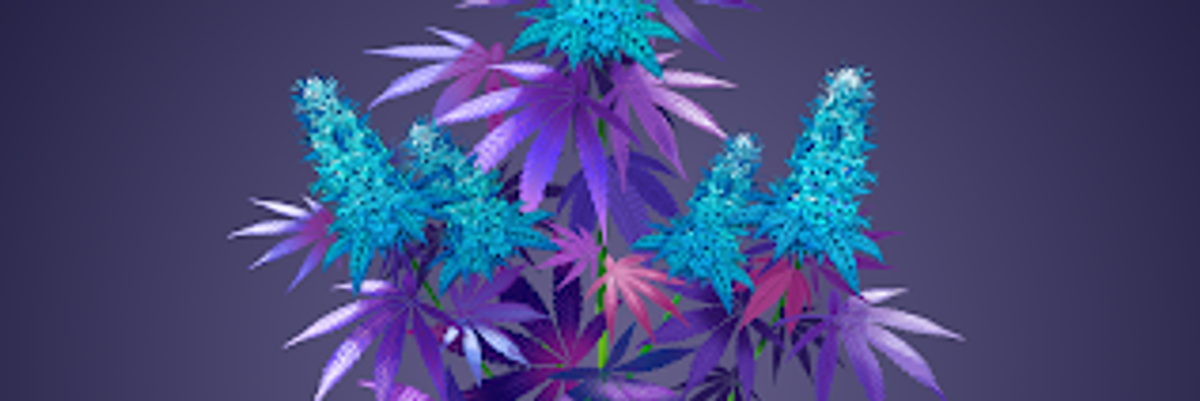 Marijuana and the Metaverse: How LA Cannabis Startups Are Lighting Up the Virtual Realm