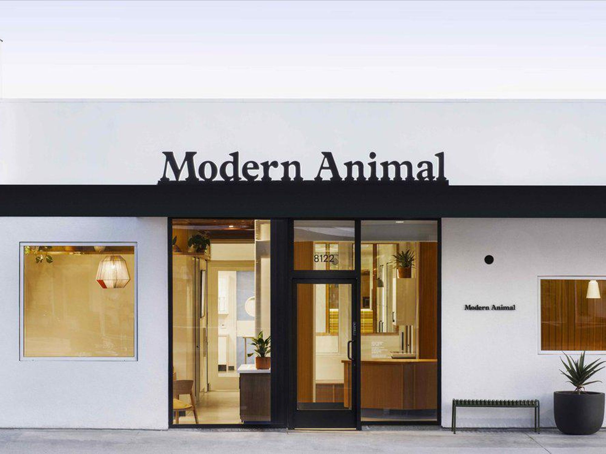 Modern Animal