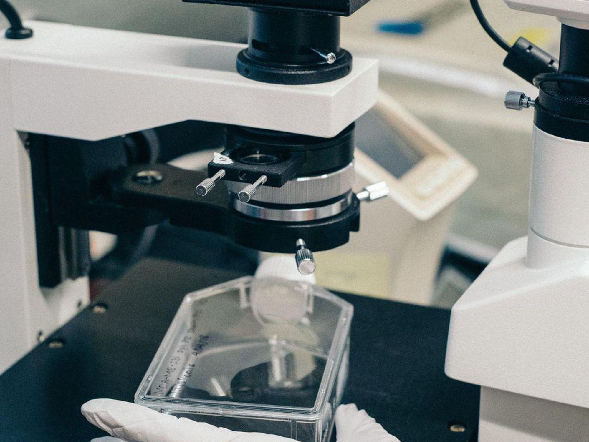 Acelyrin Wants to Move LA Biotech Beyond the 'Innovate and Exit' Model